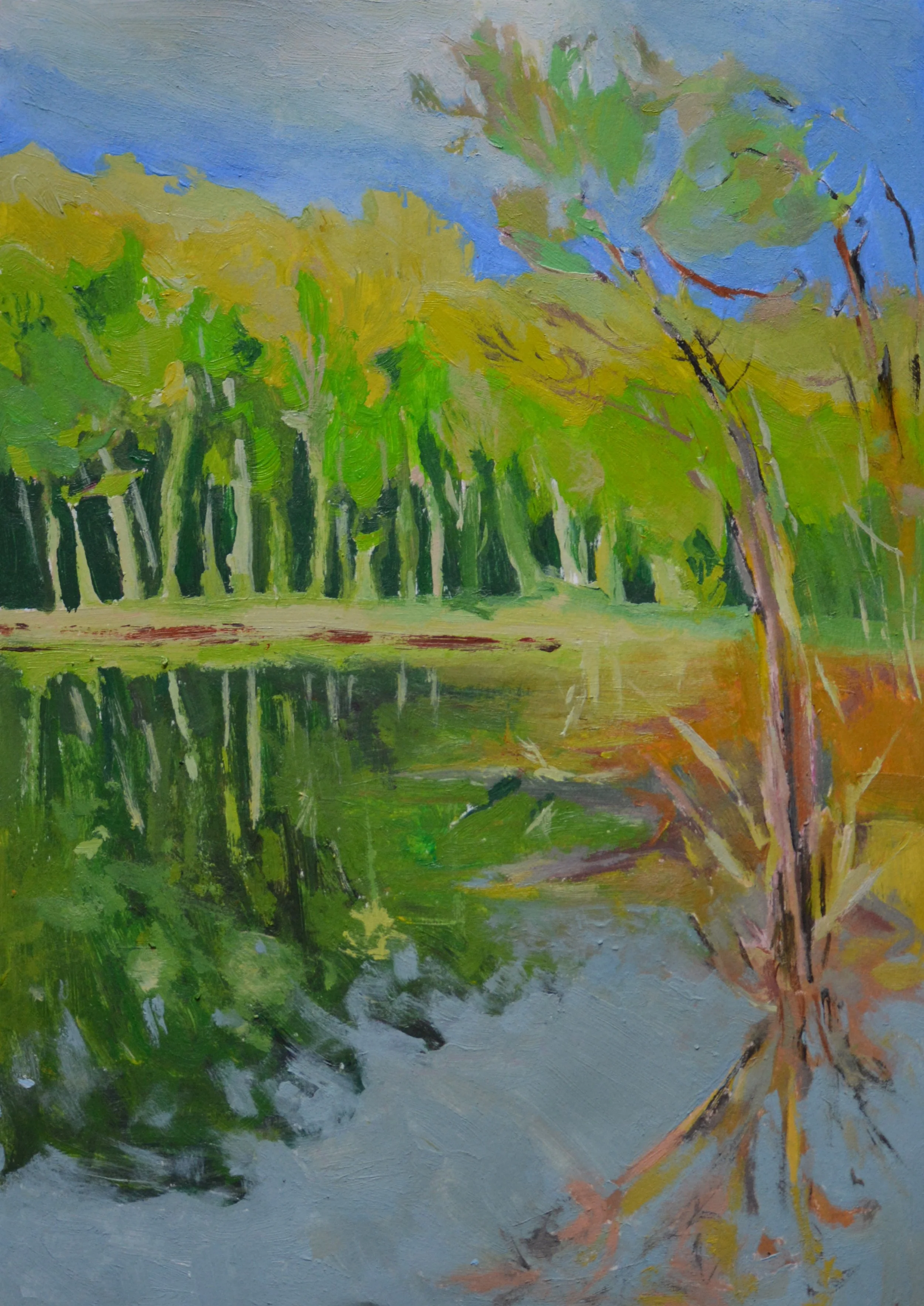 Spring Gusts 11%22x7%22 $140 copy.JPG