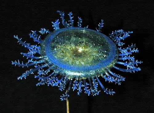 A glowing, transparent jellyfish-like object with blue bioluminescent tentacles against a dark background.