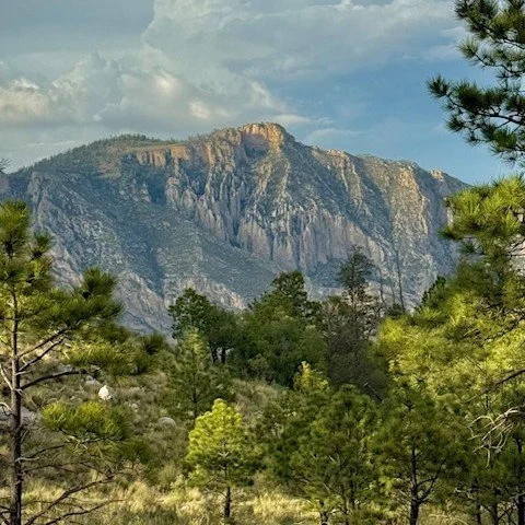 Mountain with rocky cliffs in the background, surrounded by green pine trees. Photo taken by Luc Gensler from Guadalupe Peak in West Texas.