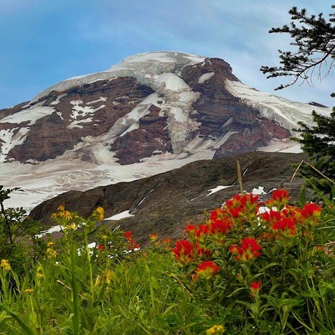Mount Baker, a glaciated volcano in Northern Washington State with patches of exposed rock, surrounded by green grass and colorful wildflowers, and a partly cloudy sky. Photo taken by Luc Gensler. 