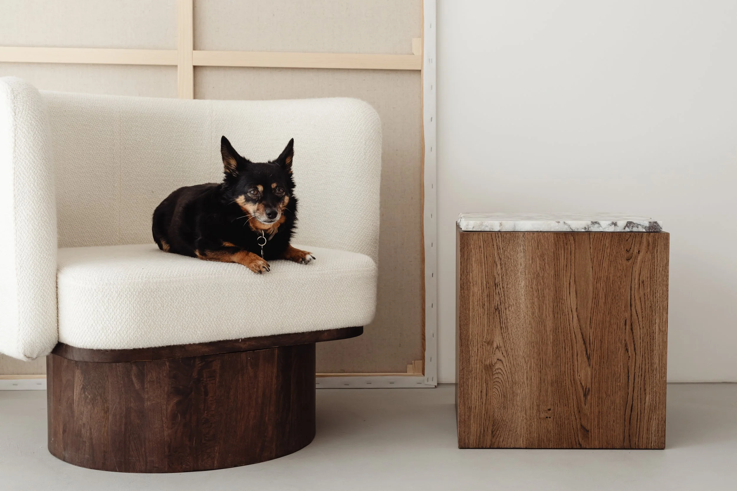 kaboompics_wooden-side-table-with-marble-top-bright-ceramic-vases-upholstered-armchair-dog-pet-animal-26644.jpeg