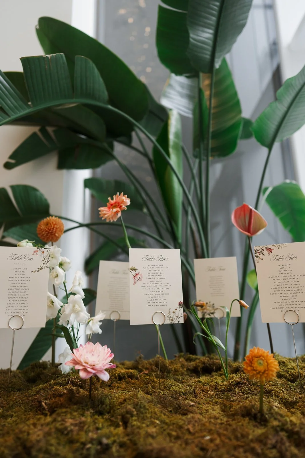 S+S-DETAILS0004 (1)_websize.jpg