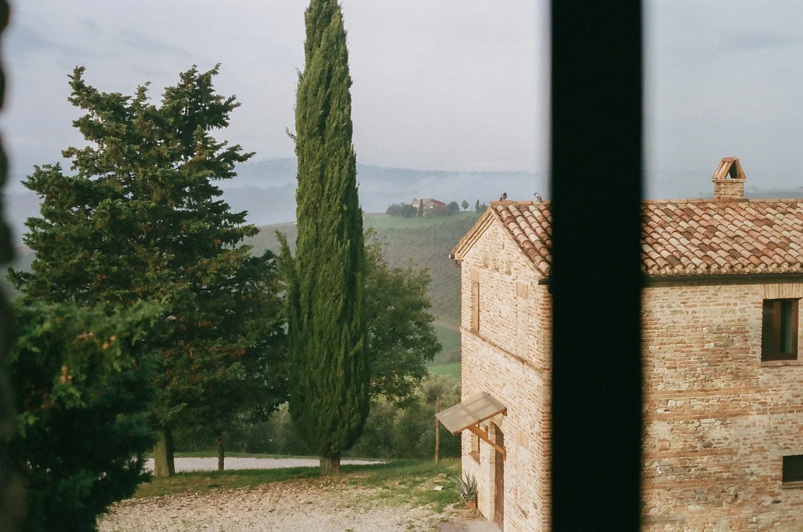 Adriana&Grant-Elopement-on-Film-KubaOkonPhoto-006-104315940034.jpg
