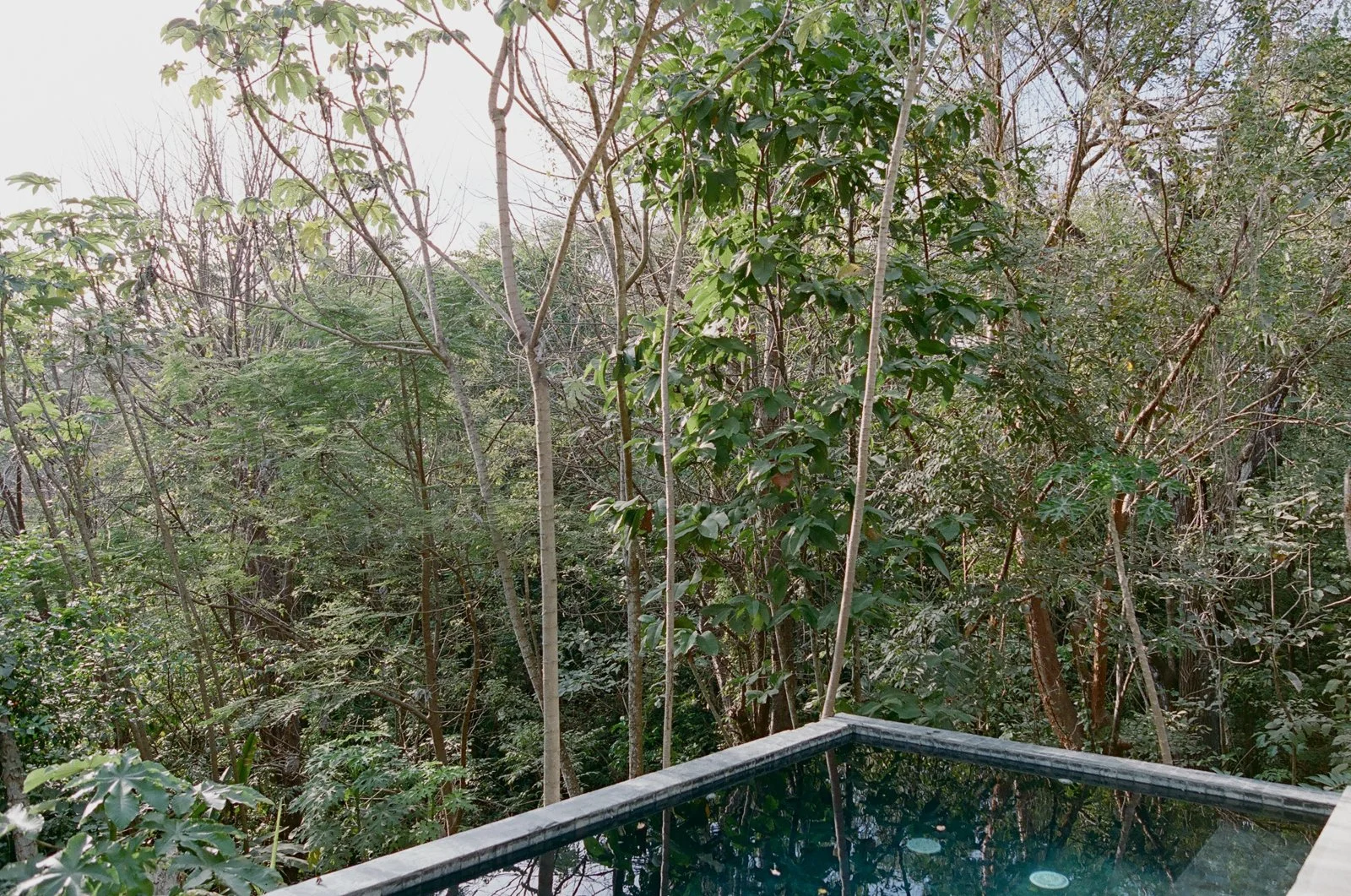 Costa-rica-elopement-wedding-on-film-028-765745_0015.jpg