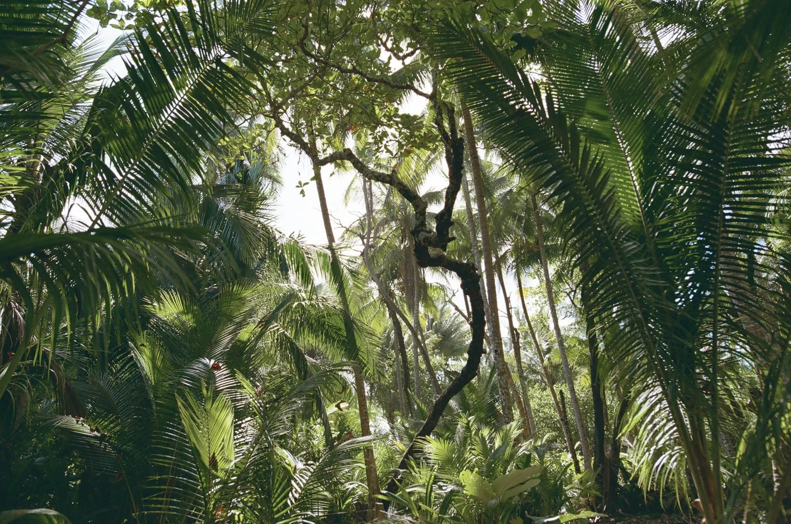 Costa-rica-elopement-wedding-on-film-001-765740_0011.jpg