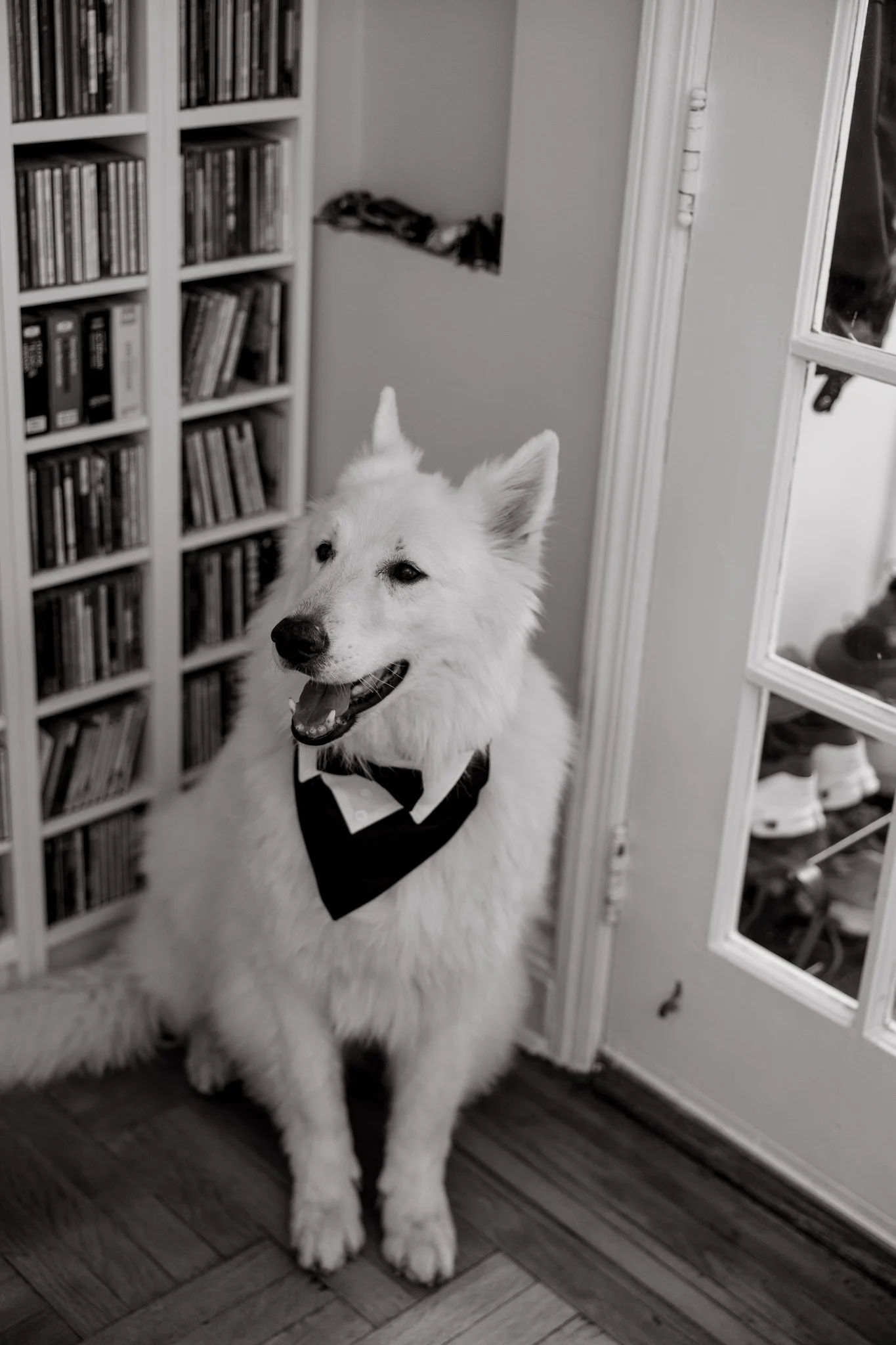 New-York-Booklyn-Staten-Island-Wedding-Kasia&Ikho-051-0S6A2981.jpg
