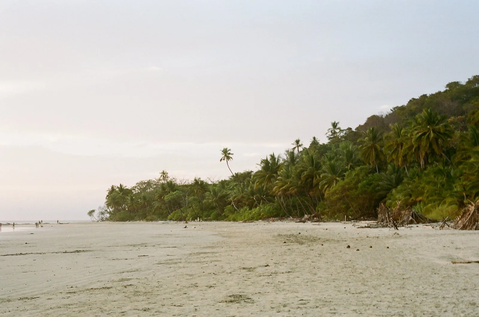 Costa-rica-elopement-wedding-on-film-031-765744_0013.jpg