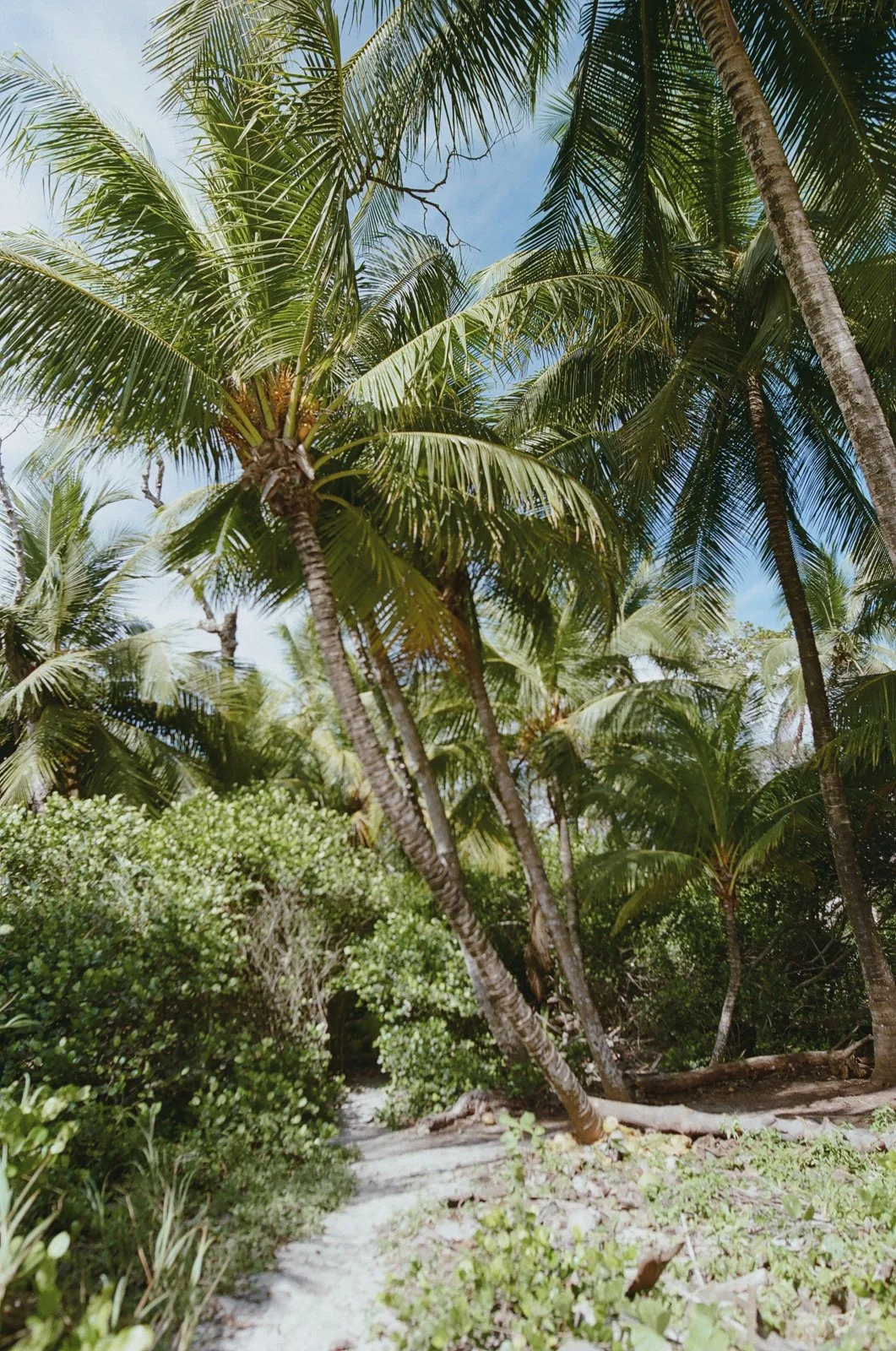 Costa-rica-elopement-wedding-on-film-002-765740_0012.jpg
