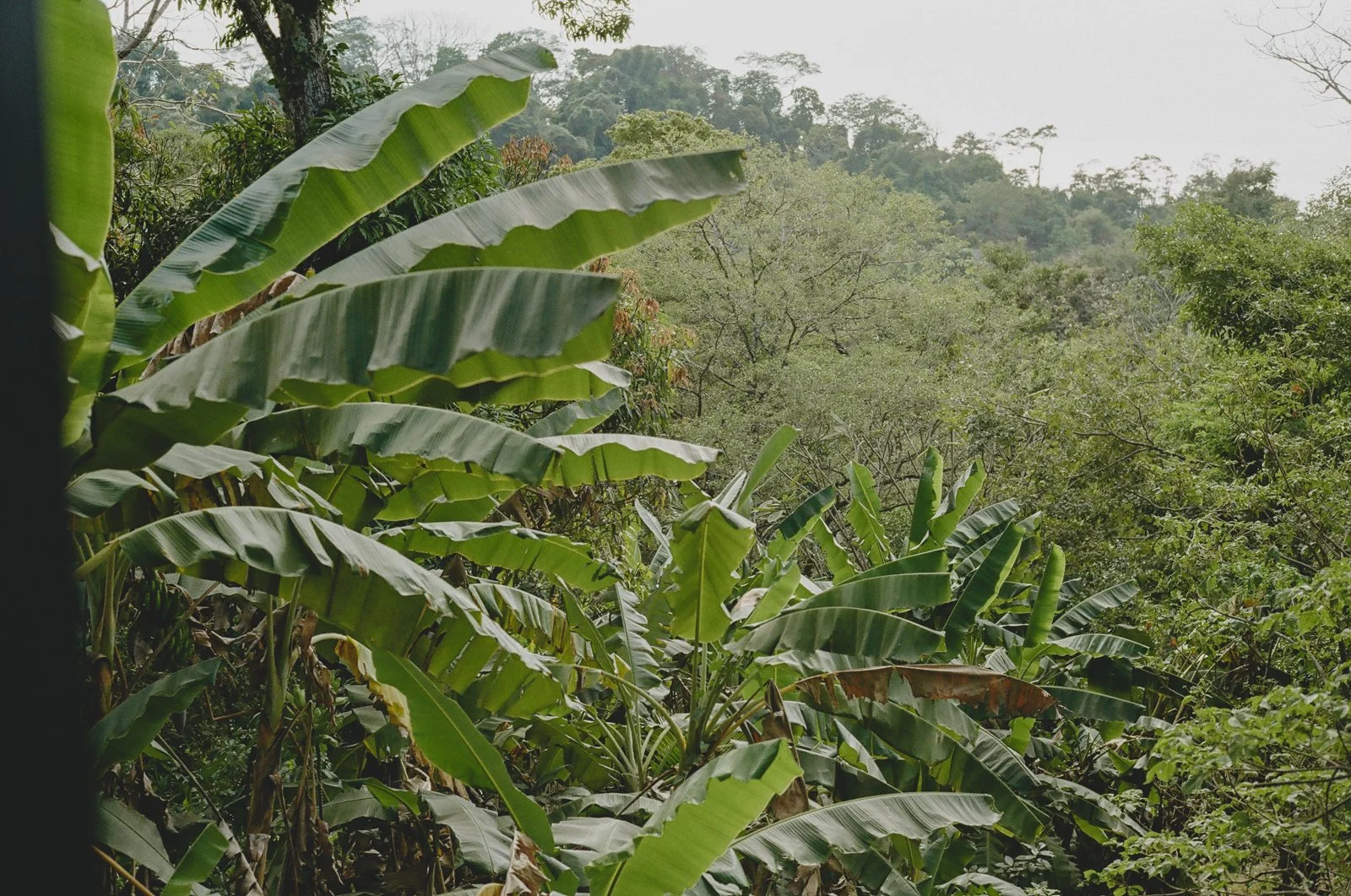 Costa-rica-elopement-wedding-on-film-004-765741_0007.jpg