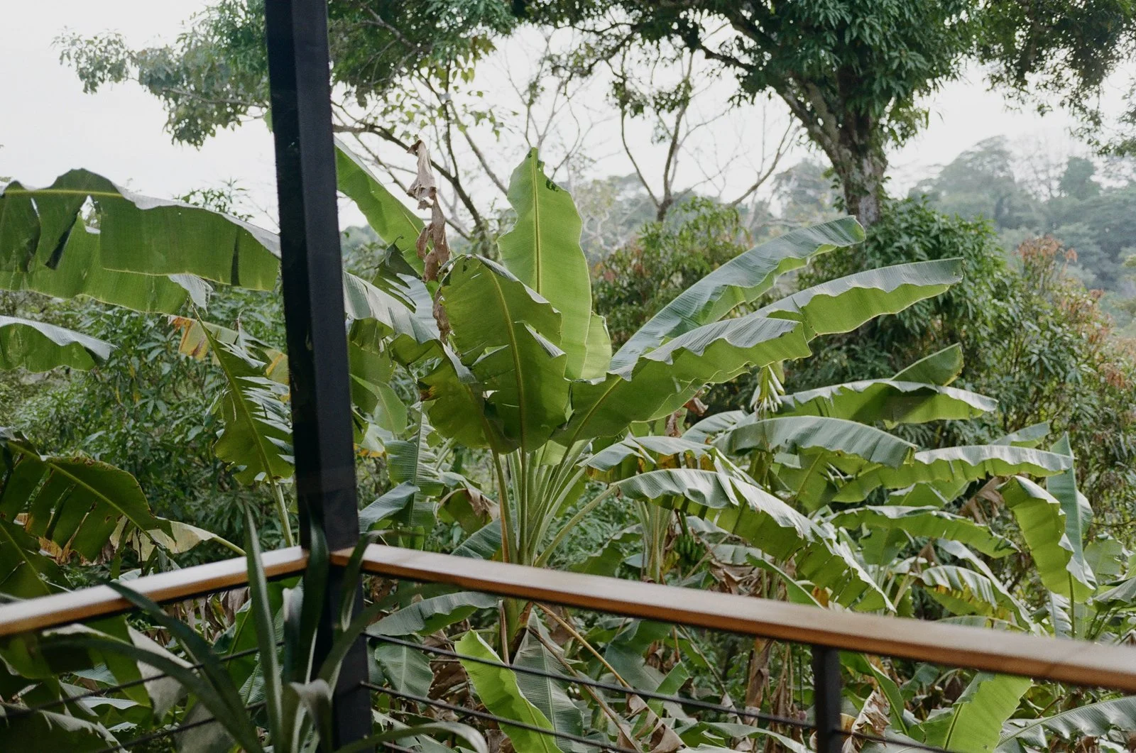 Costa-rica-elopement-wedding-on-film-023-765741_0036.jpg