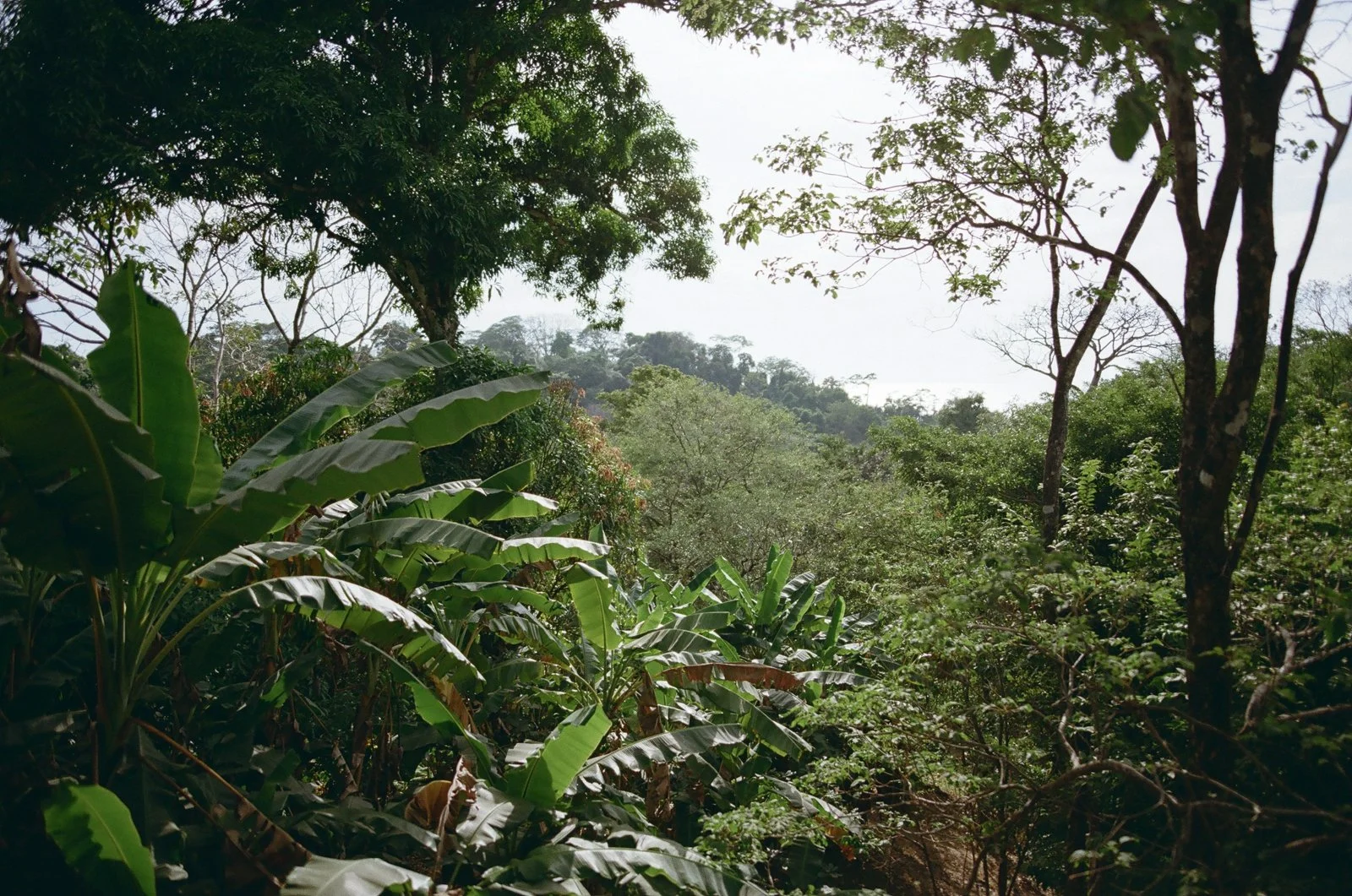 Costa-rica-elopement-wedding-on-film-015-765740_0028.jpg