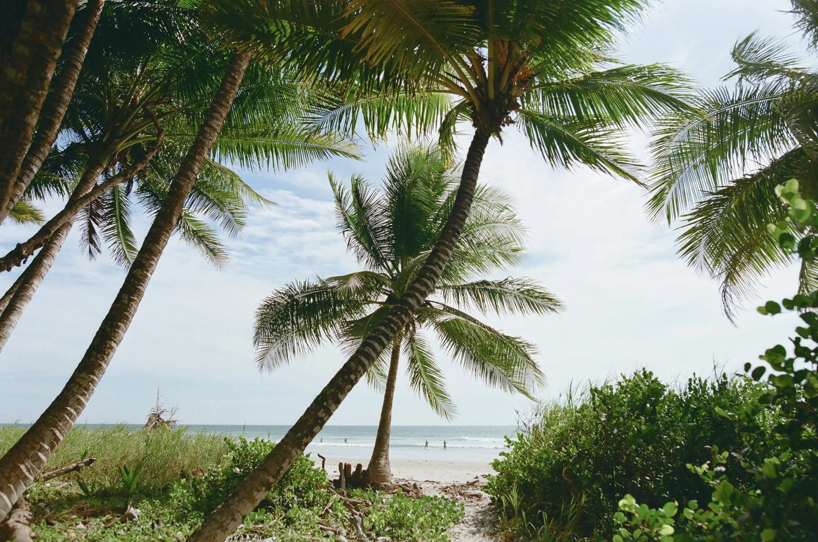 Costa-rica-elopement-wedding-on-film-003-765740_0013.jpg