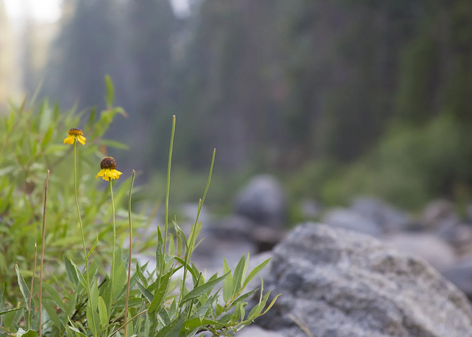 august means vacation!