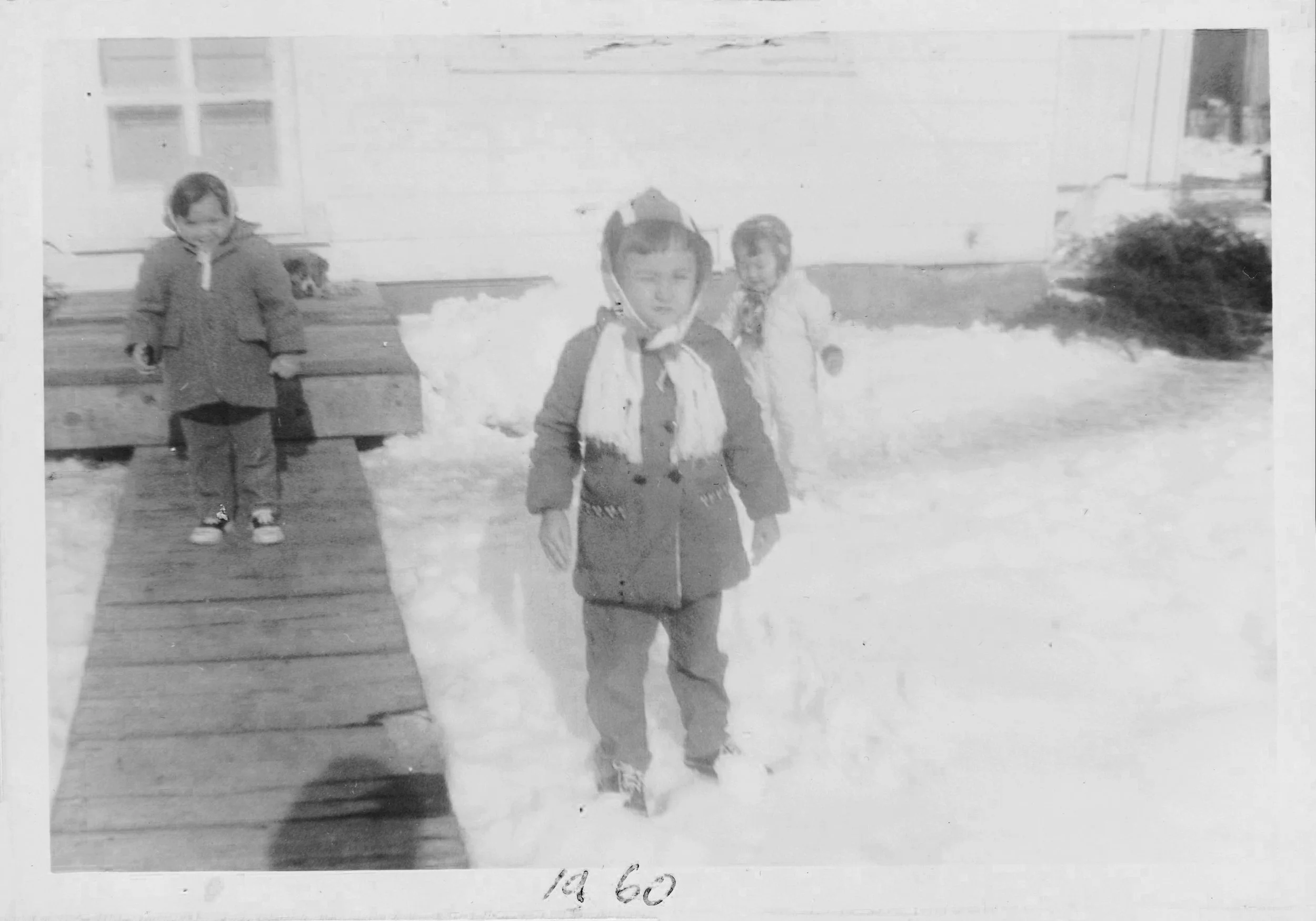 Carolyn Joan Marie.jpeg