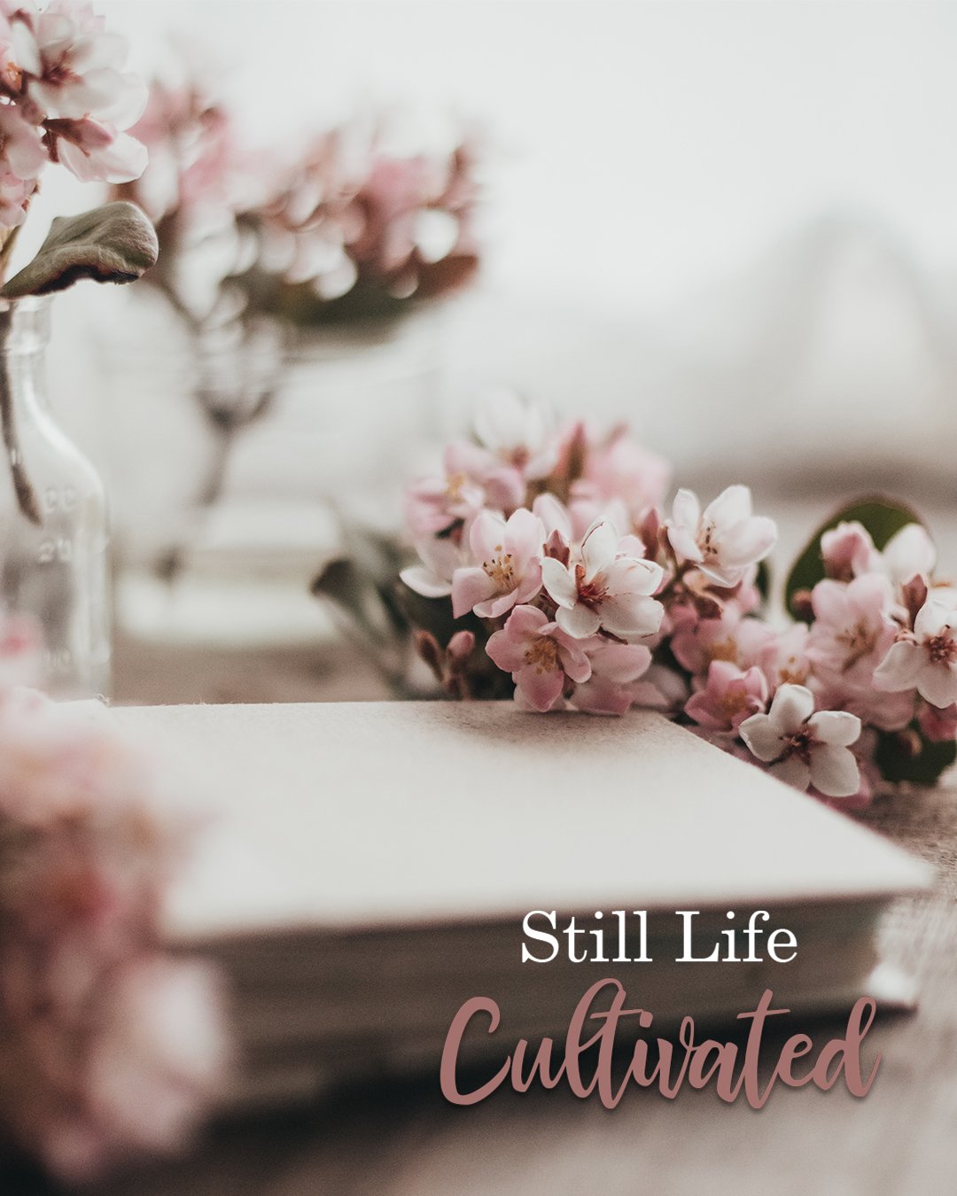 Still Life Cultivated 4.jpg