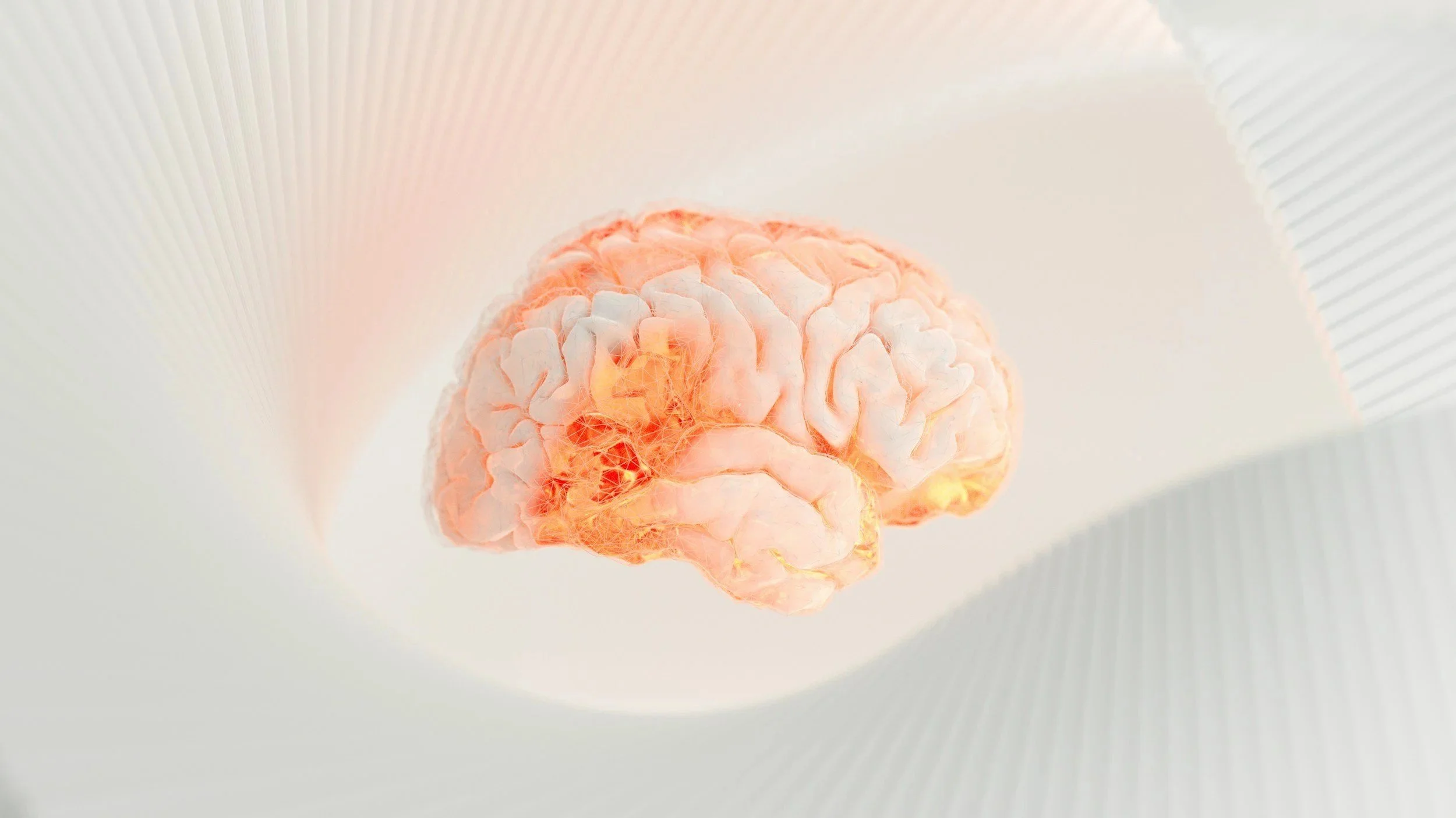 How Stress Affects Your Brain: Understanding the HPA Axis and Nervous System