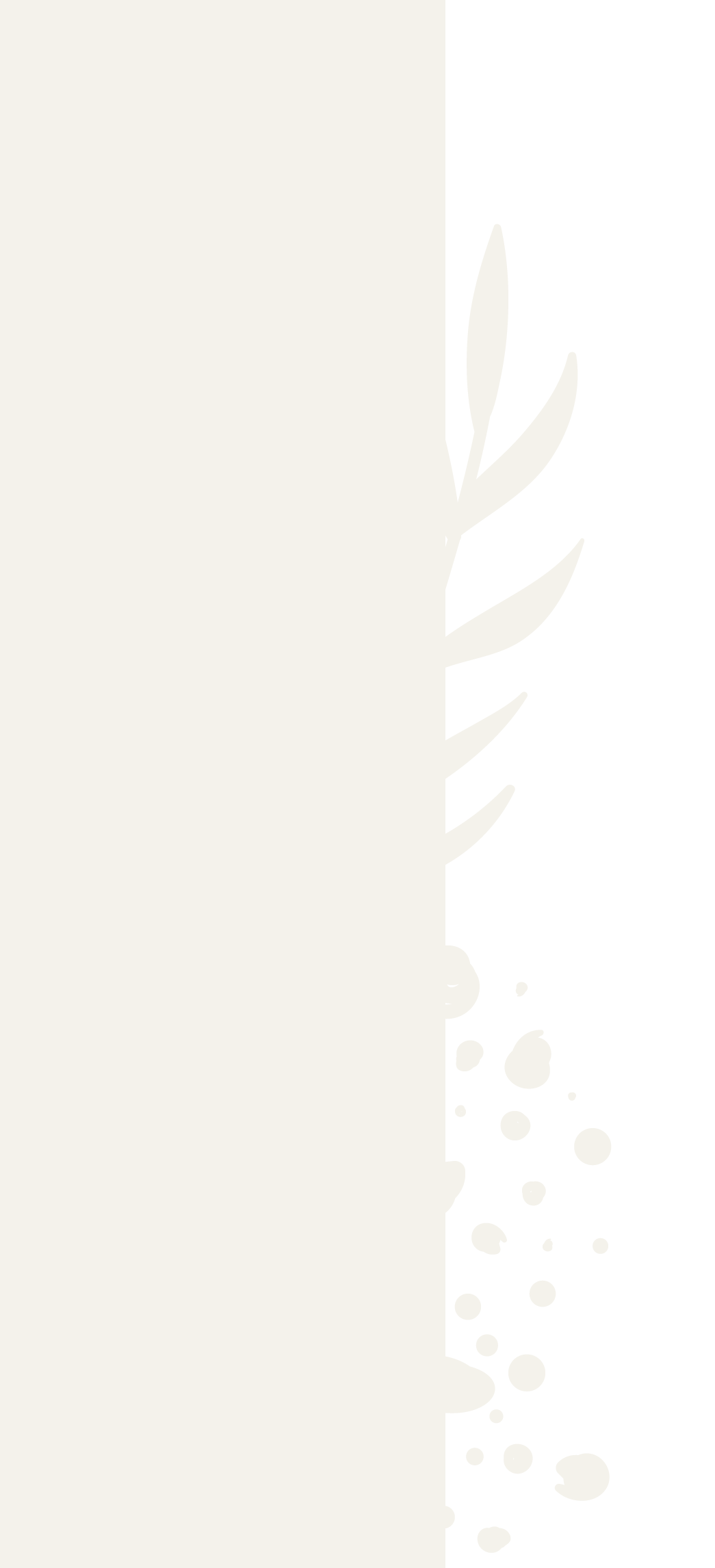 Black and white abstract design featuring a plant with leaves on the right side and bubbles or splashes on the bottom right.