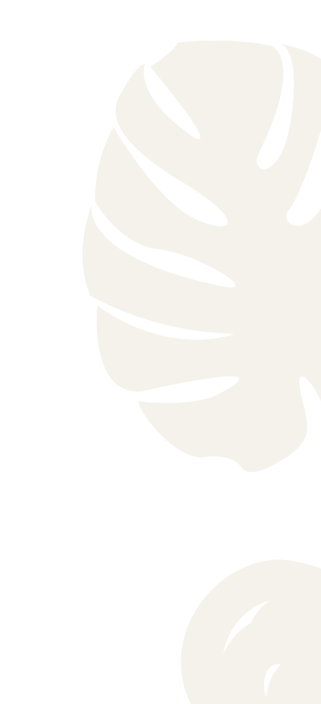 Black and white illustration of a monstera leaf and an avocado slice on a black background.