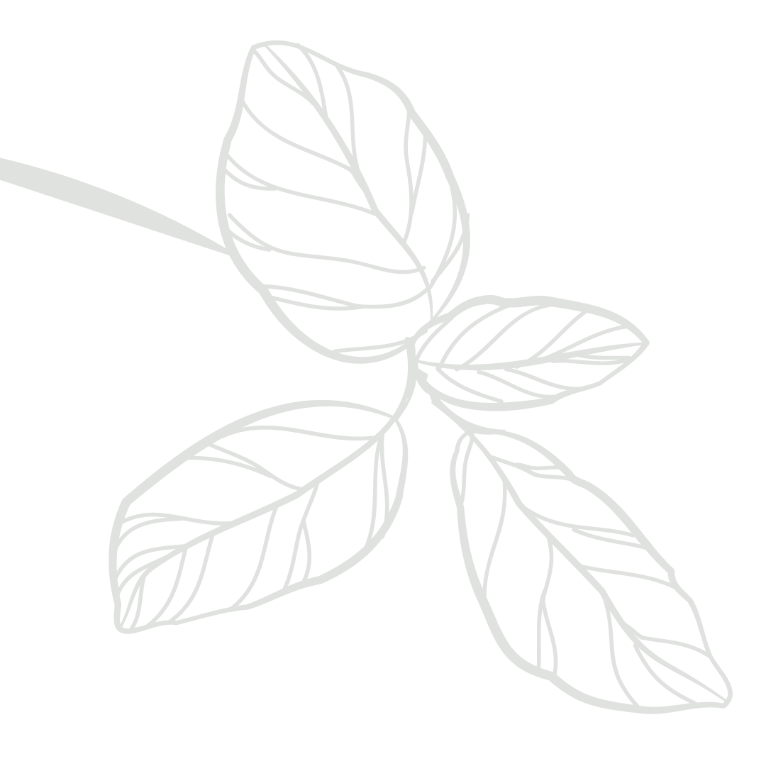 Line drawing of five leaves arranged in a star shape on a black background.