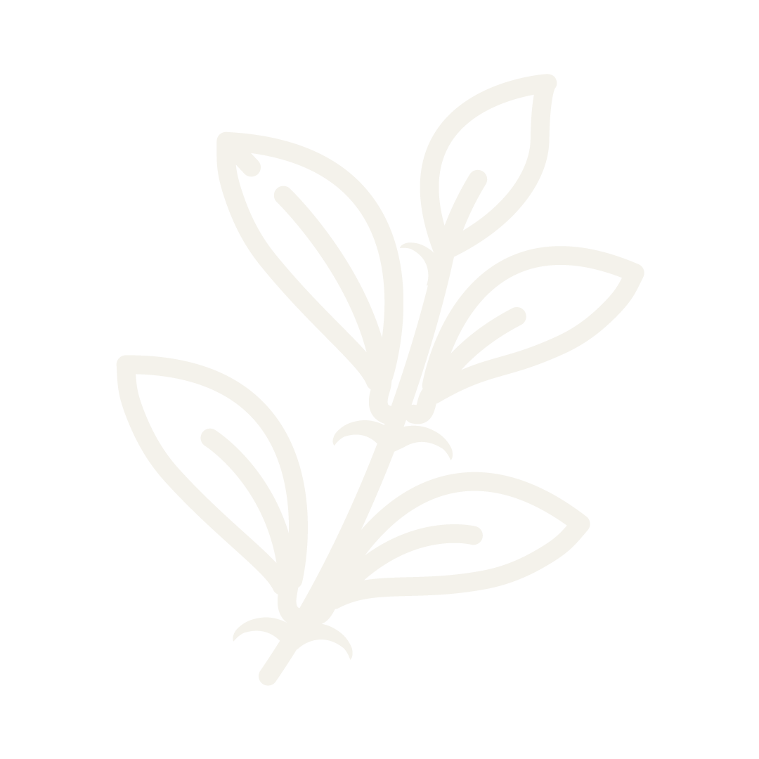 Line drawing of a leafy branch with multiple leaves against a black background.