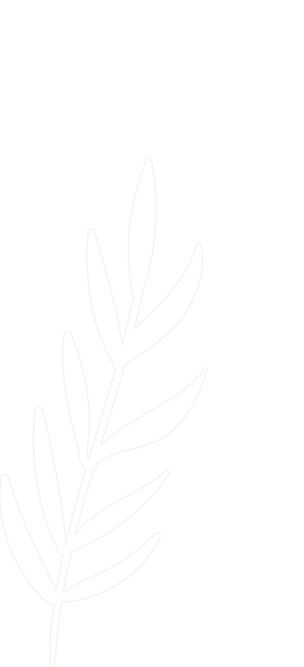 Line drawing of a leafy branch with multiple elongated leaves on a black background.