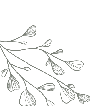 Illustration of a tree branch with stylized leaves and flower buds on a black background.