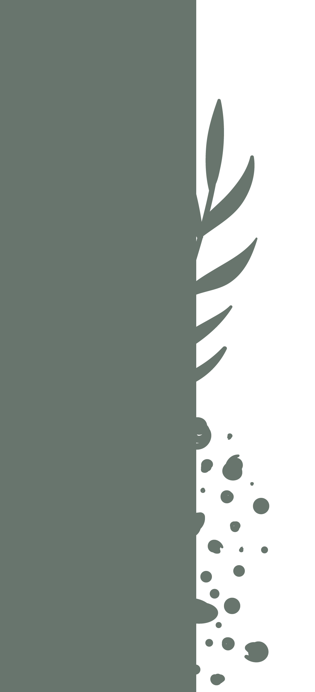 A stylized design featuring a vertical black brushstroke on the right side and dark green leaves with small circles, on a gray background.