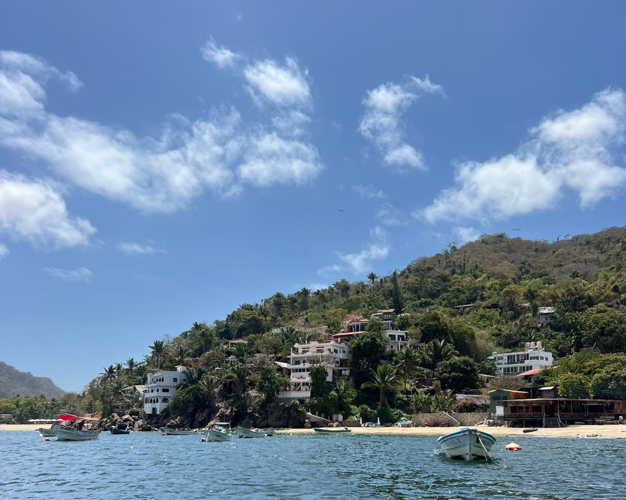 honey yoga mexico retreat xinalani12.png