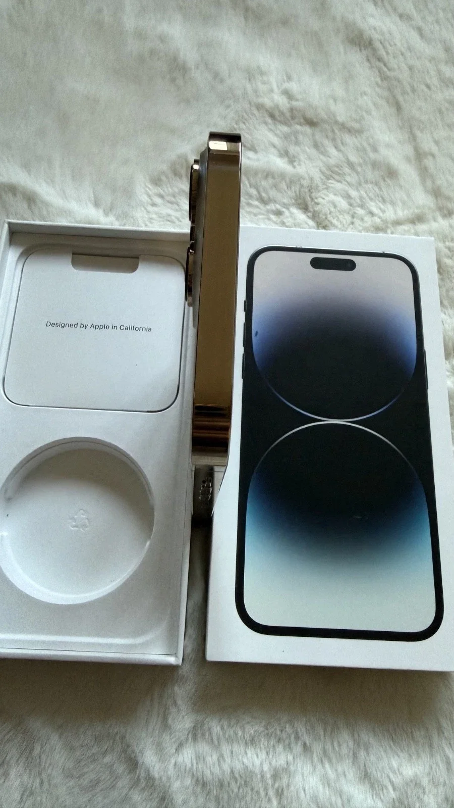 s-l1600 (5).webp