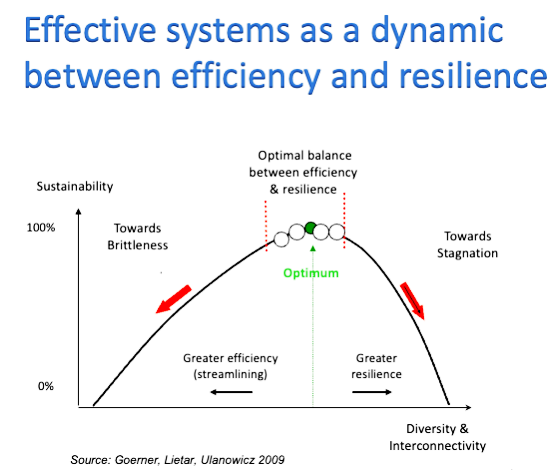 A graph that shows effective systems as a dynamic between efficiency and resilience
