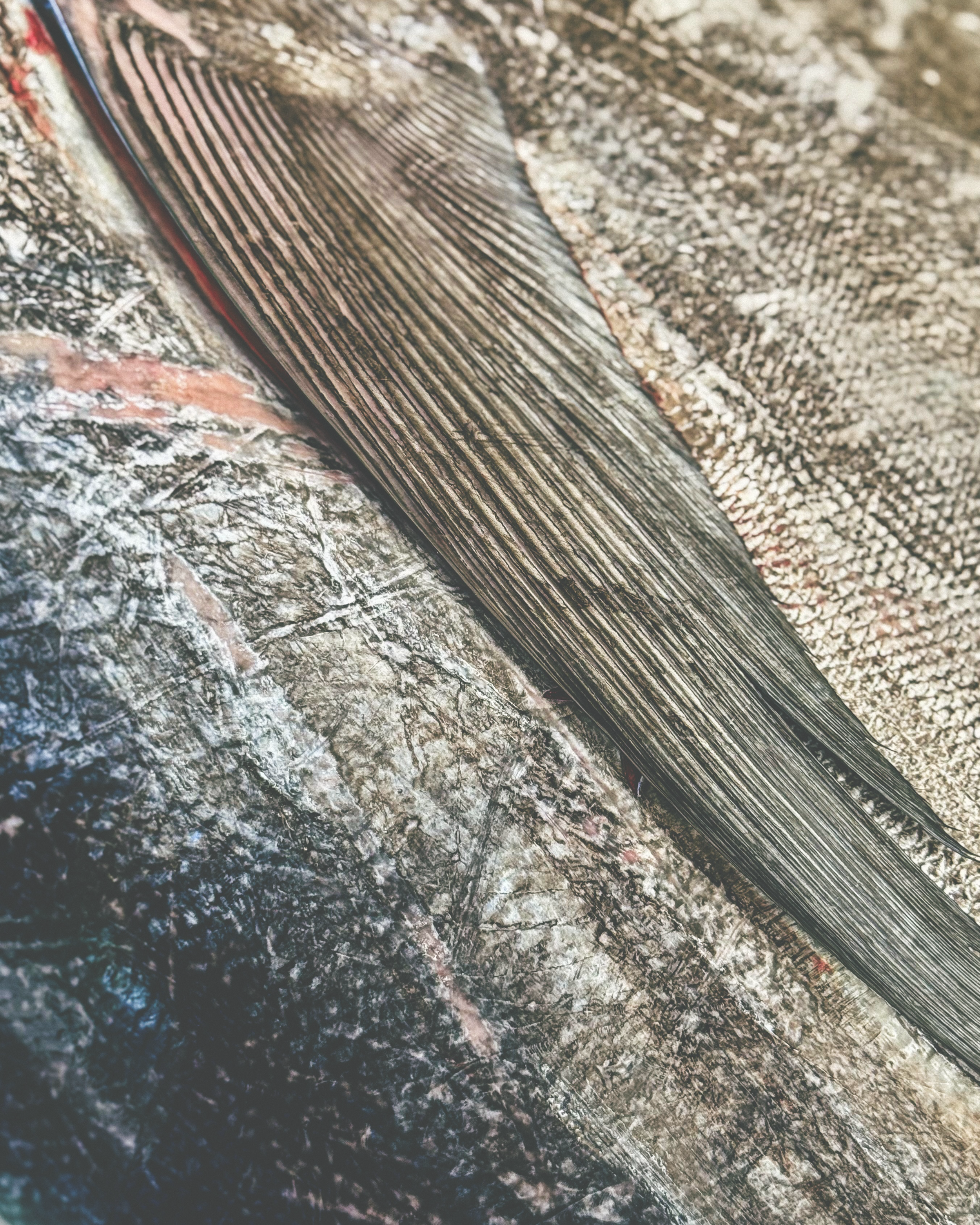 Tortilla frita de camarón con limón sobre un mantel blanco.