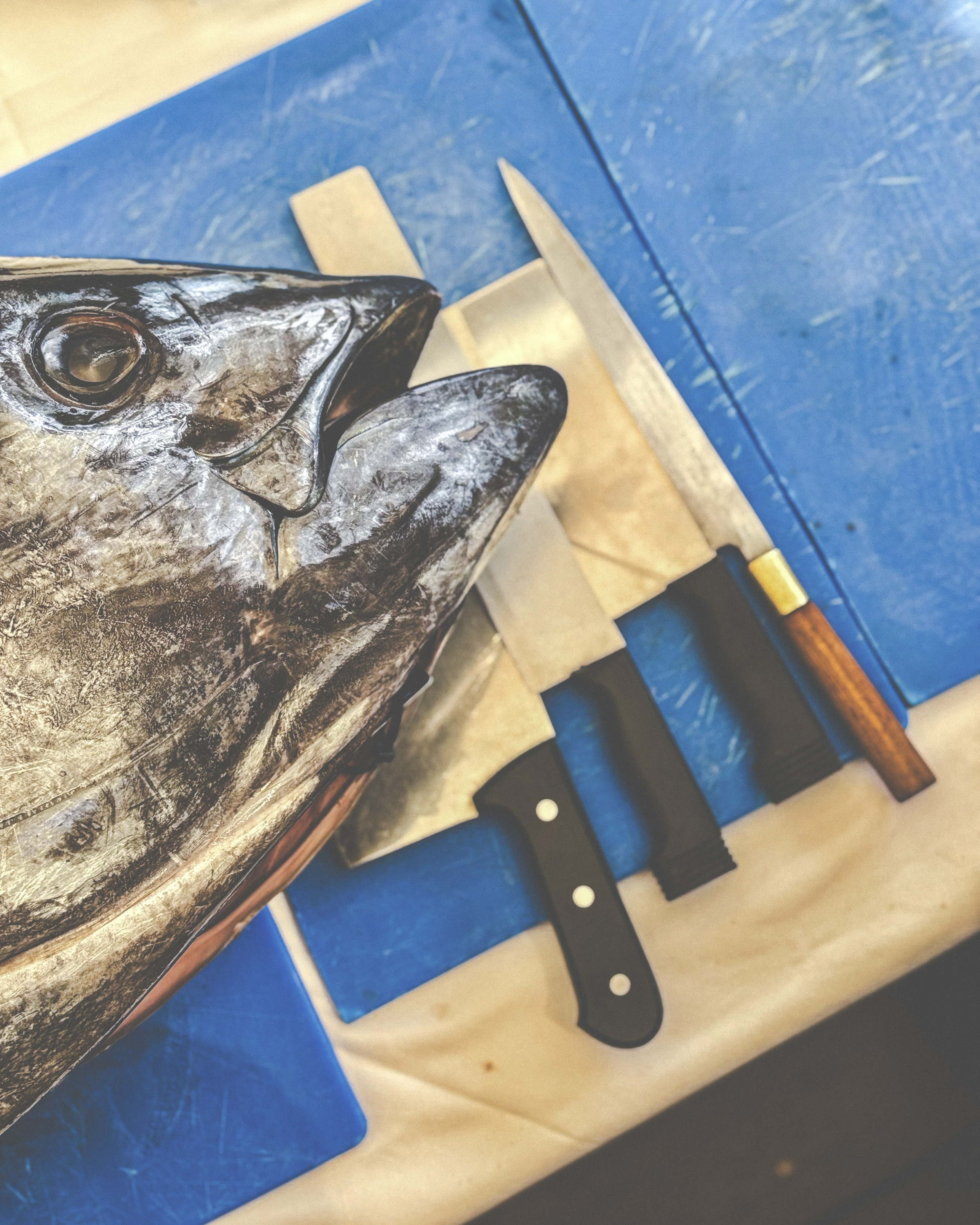 Un pescado grande en una mesa, con varios cuchillos a su lado.