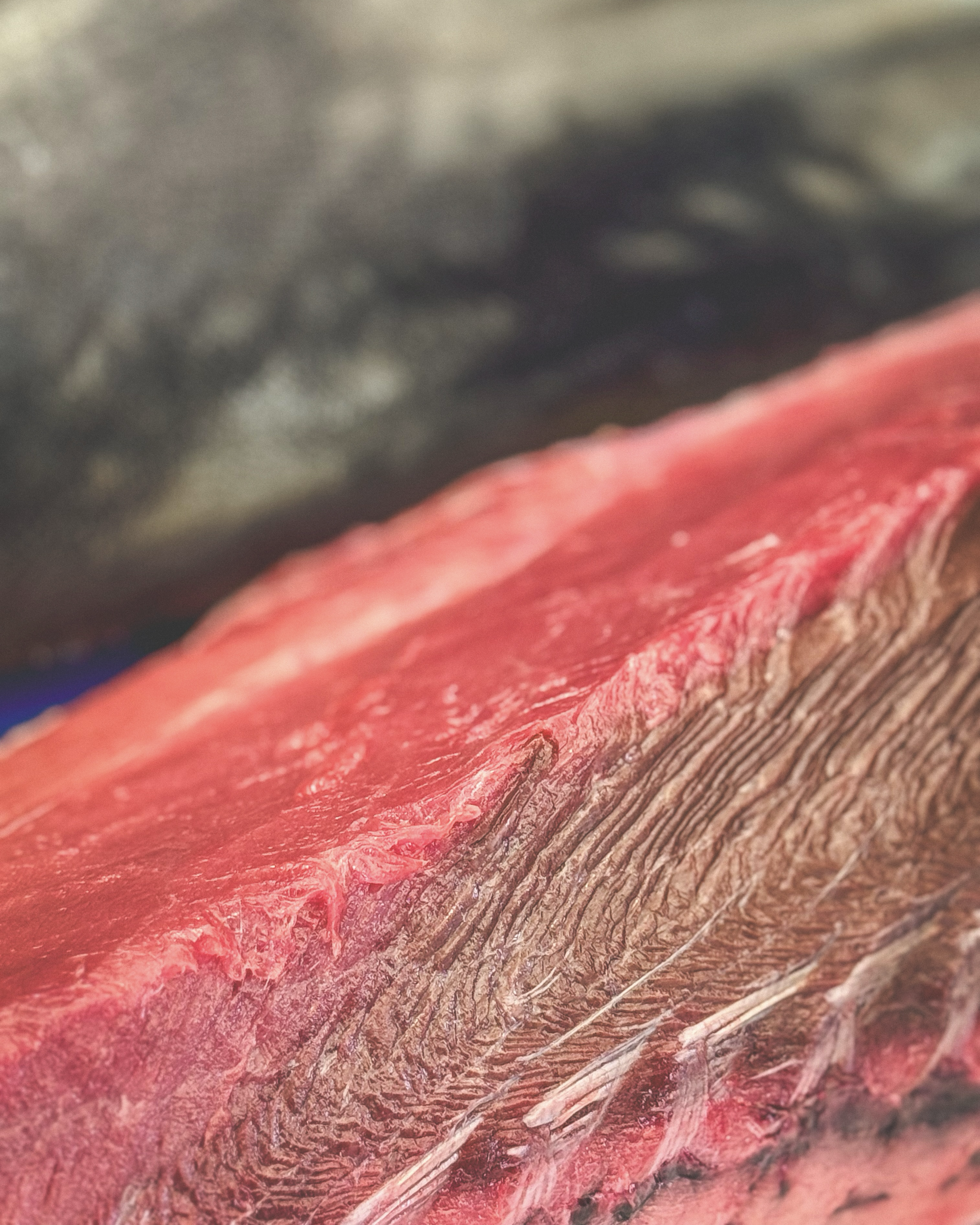 Un trozo de carne de res cruda, de color rojo con vetas de grasa, sobre una superficie oscura.