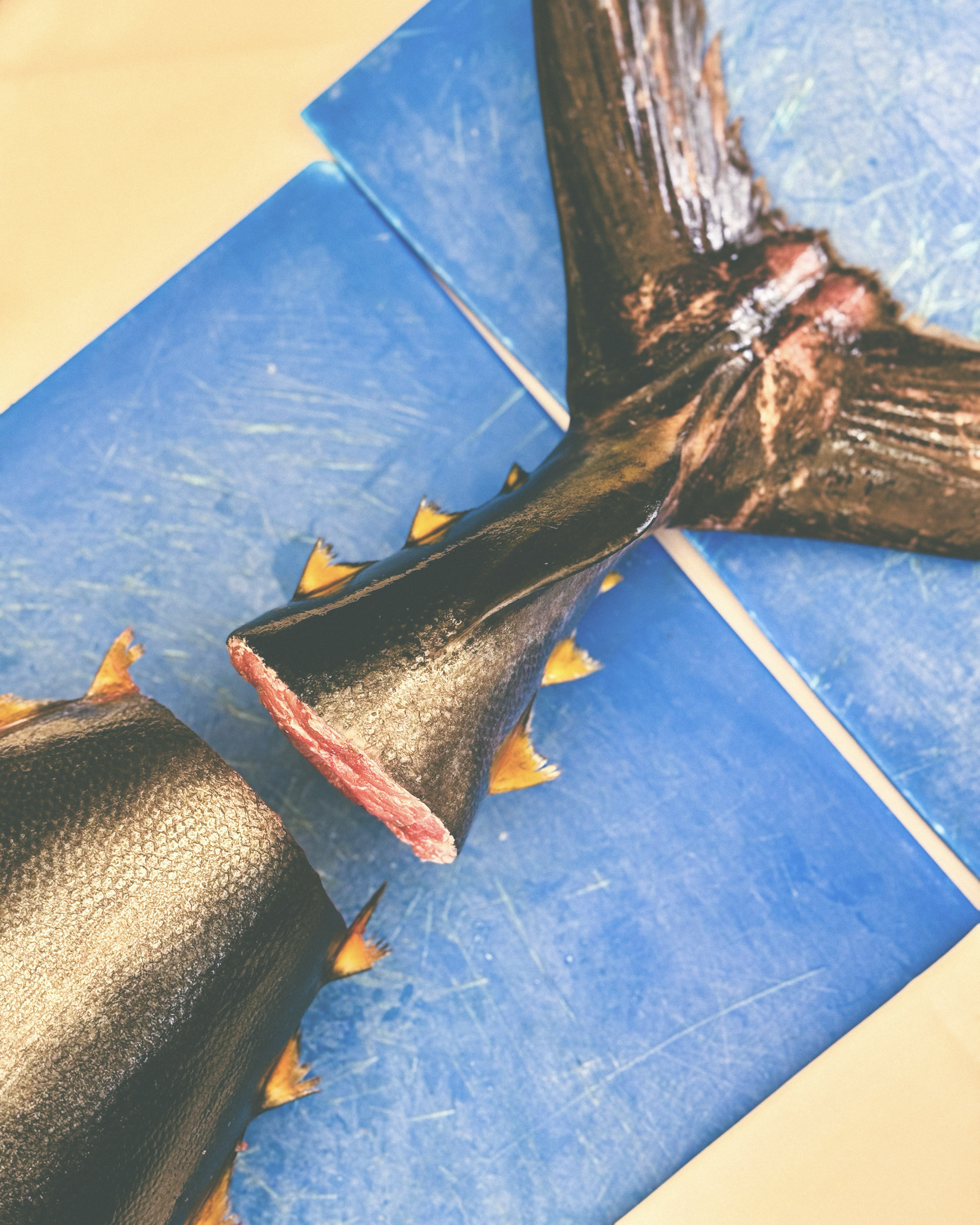 Pescado entero, probablemente salmón, sobre mesa azul.