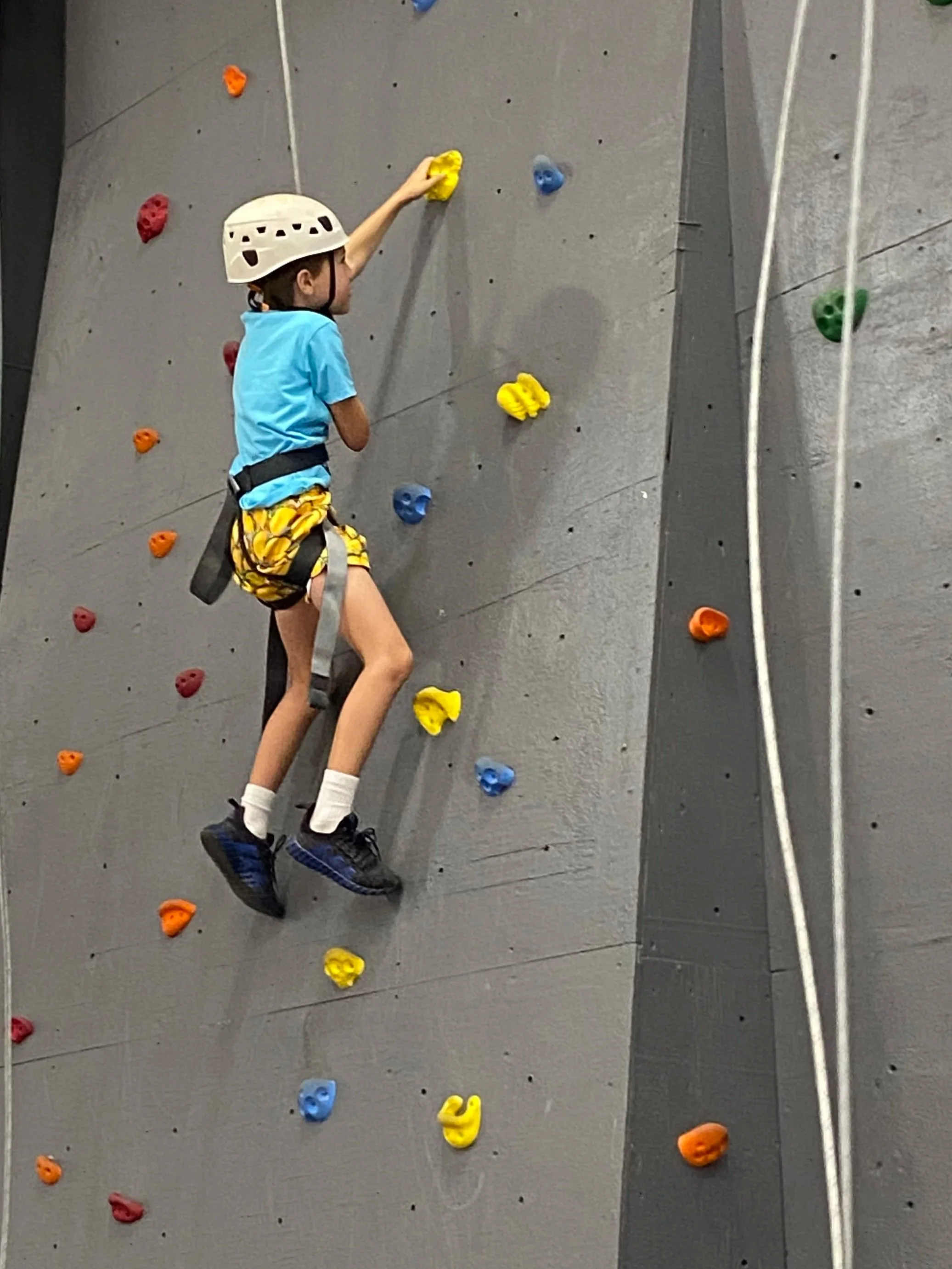 A camper climbing the rock wall at Germantown Academy summer camp