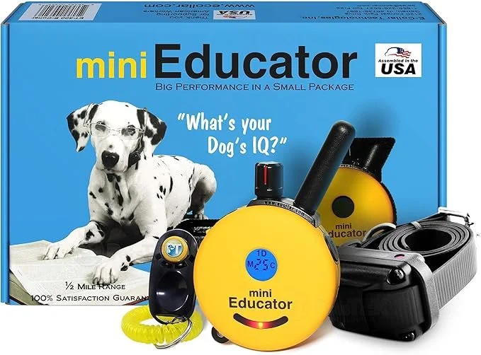 mini Educator E Collar