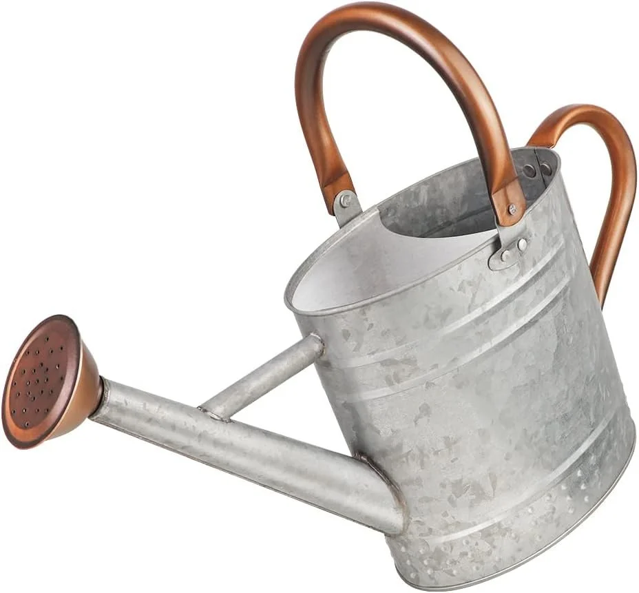 1 Gallon Metal Watering Can