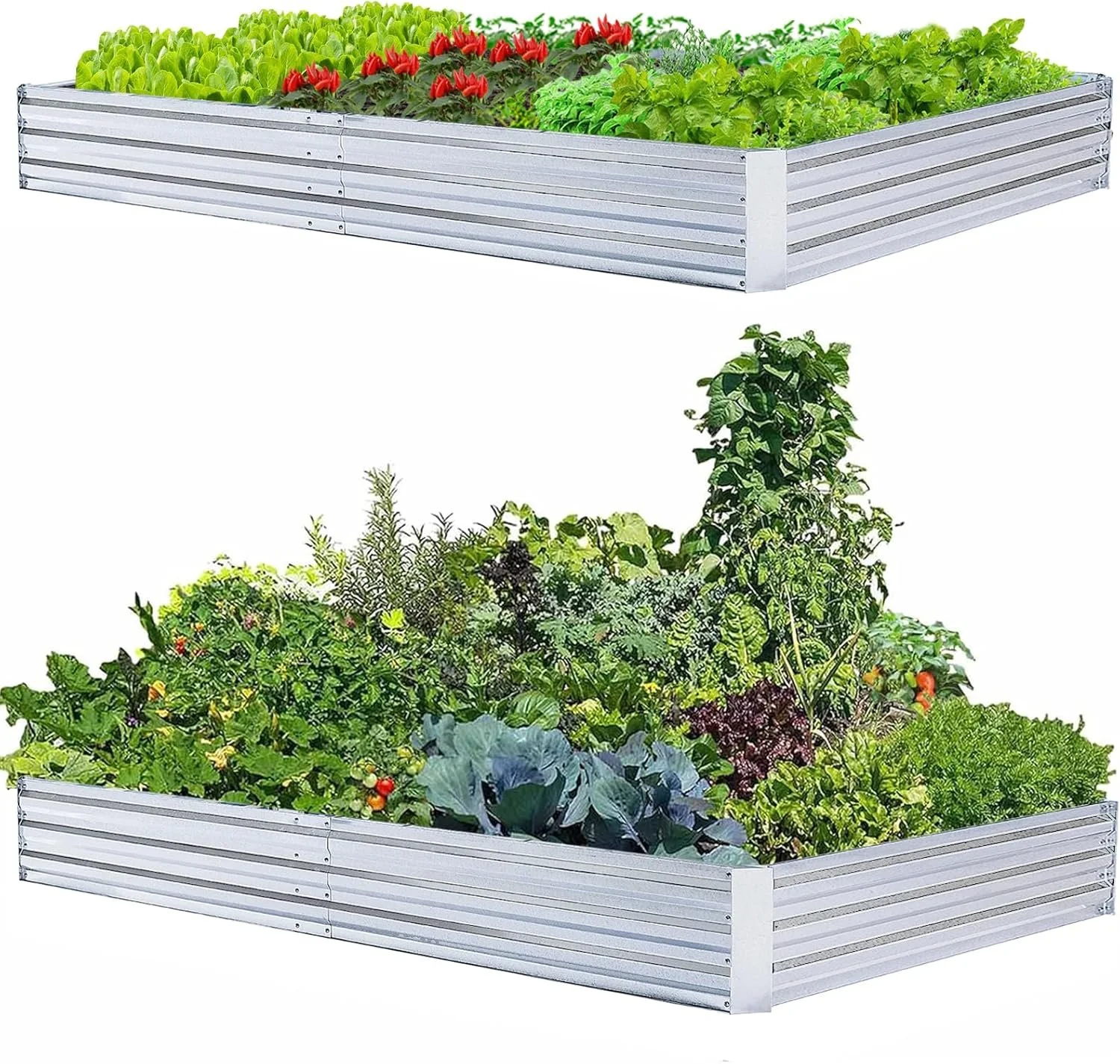Raised Garden Beds