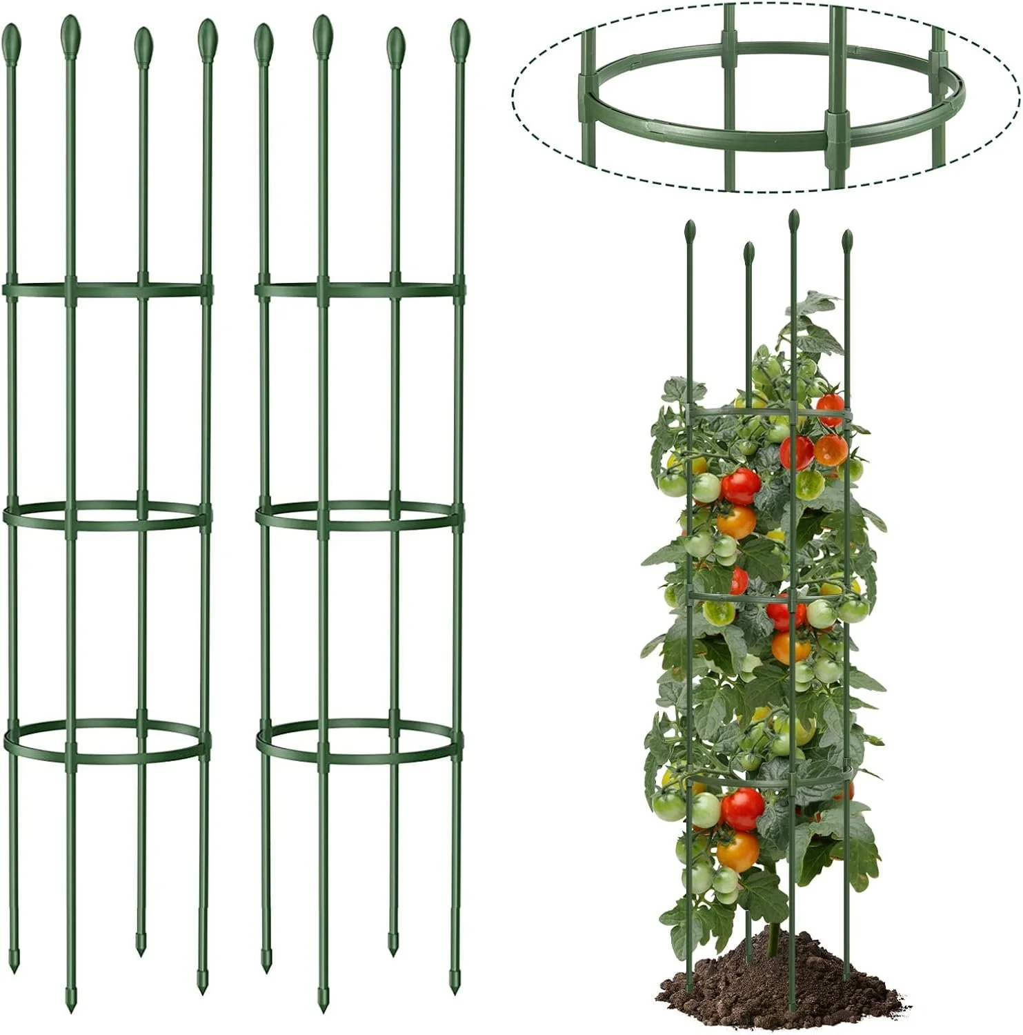 Tomato Cage