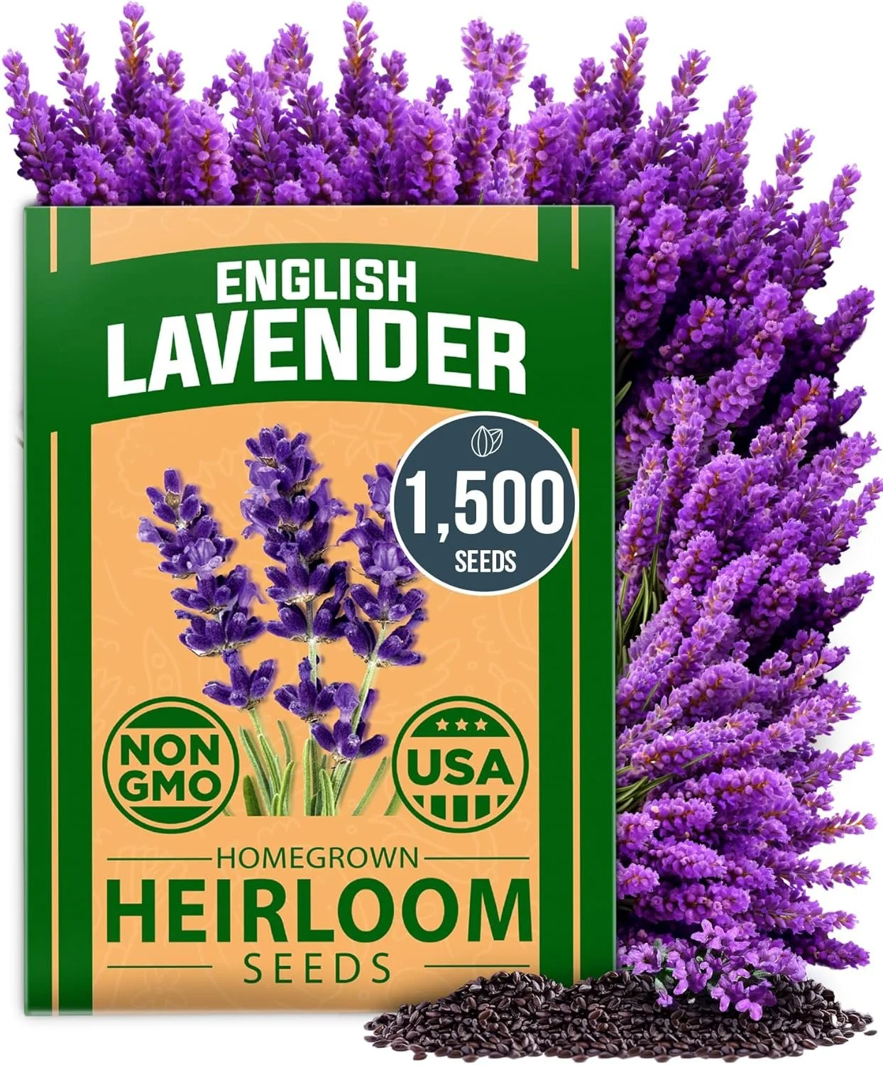 English Lavender