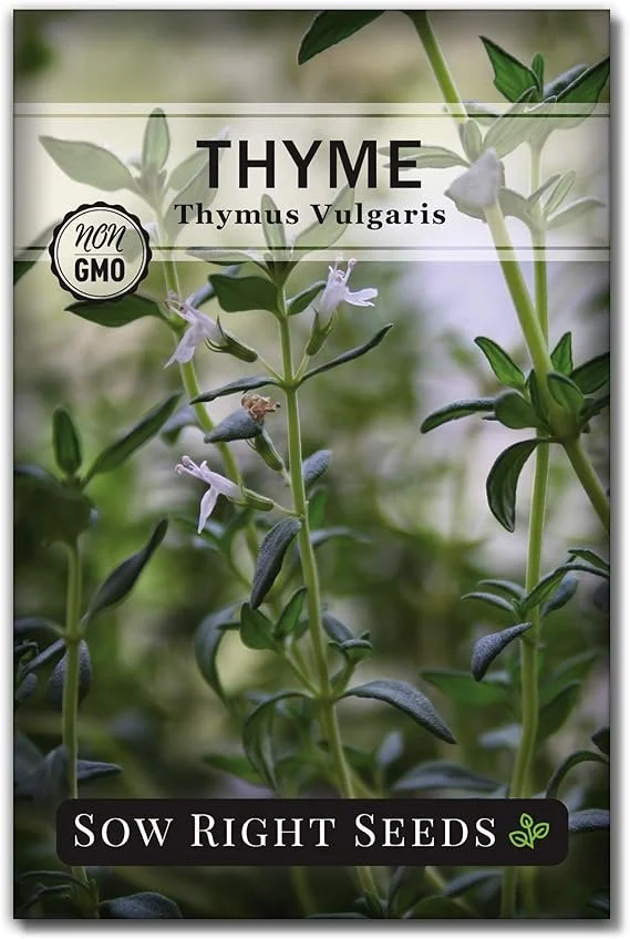 Thyme Seeds