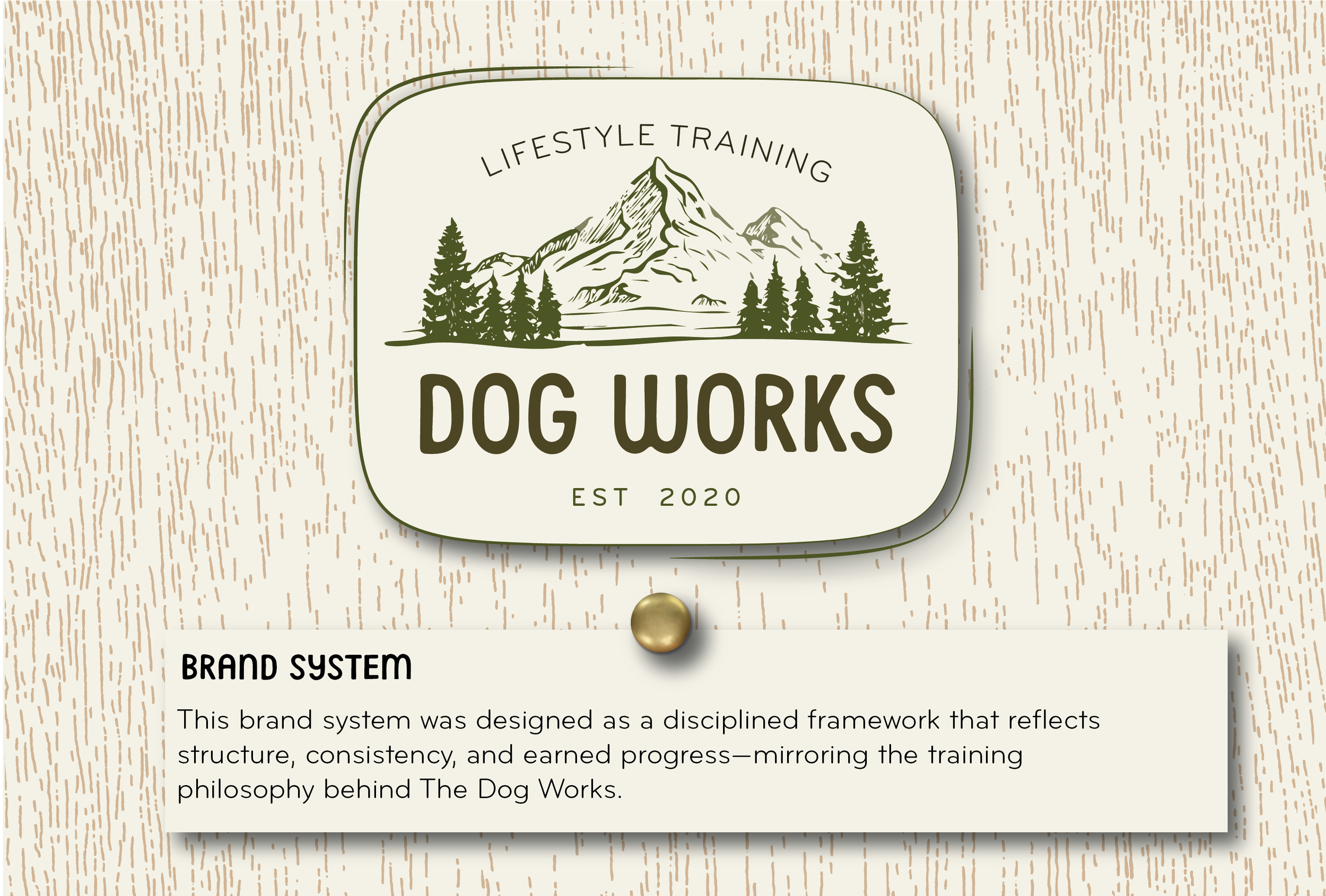 TDW Visual Presentation (1)-02.png