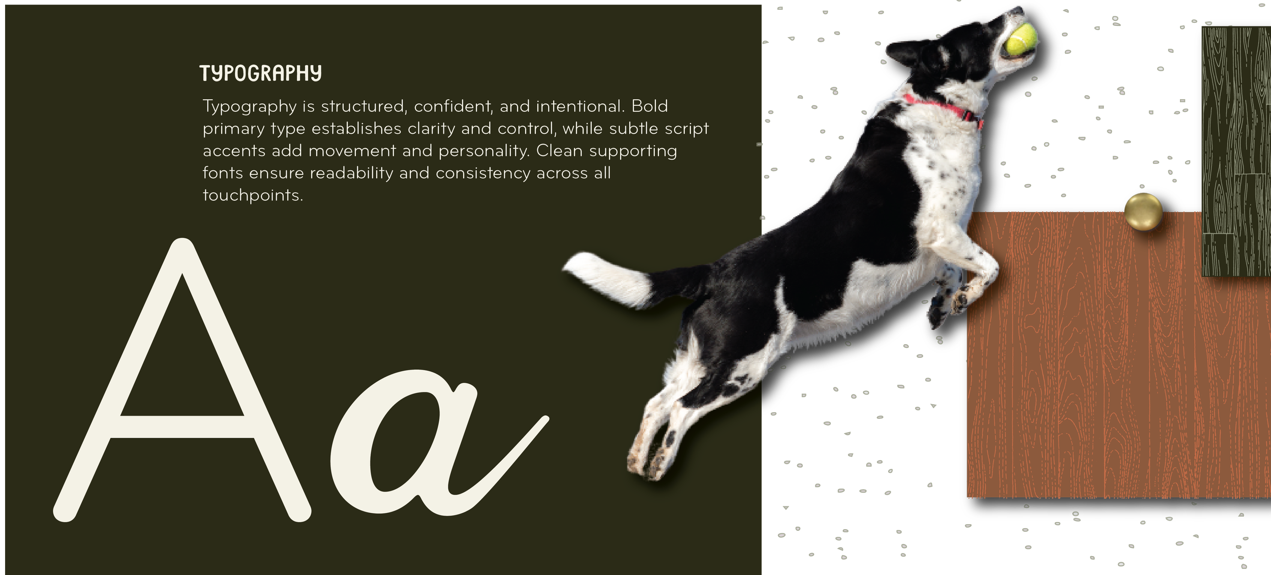 TDW Visual Presentation (1)-04.png