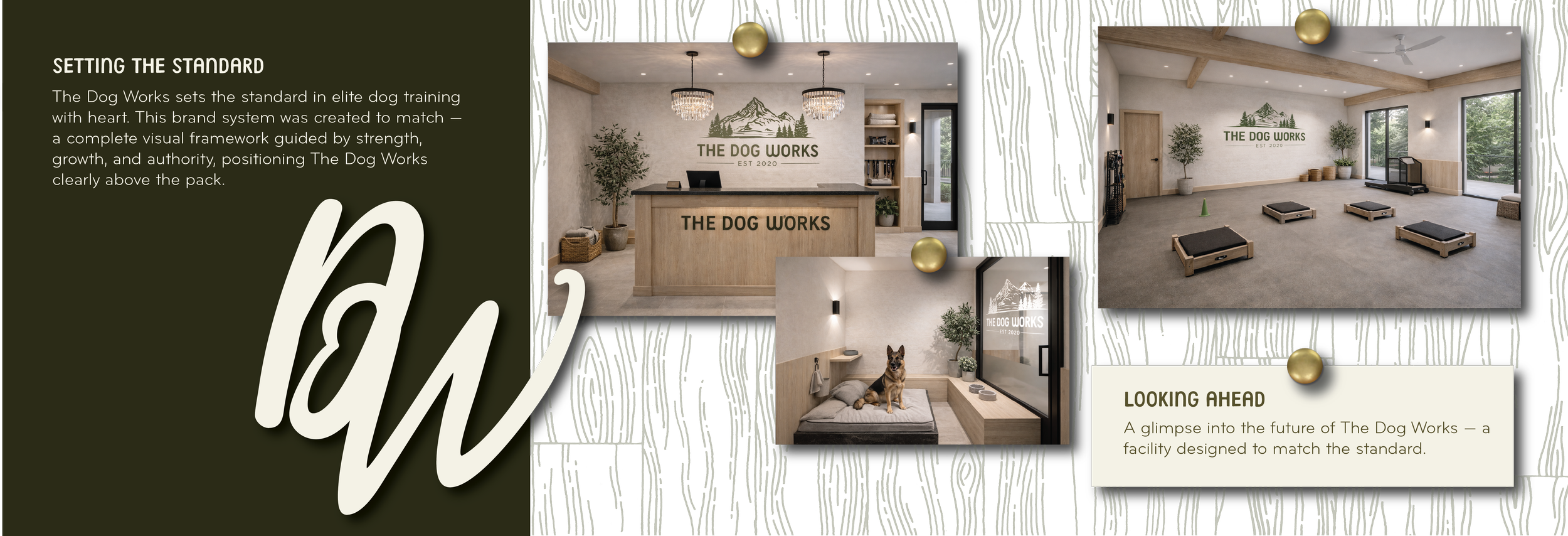 TDW Visual Presentation (1)-10.png