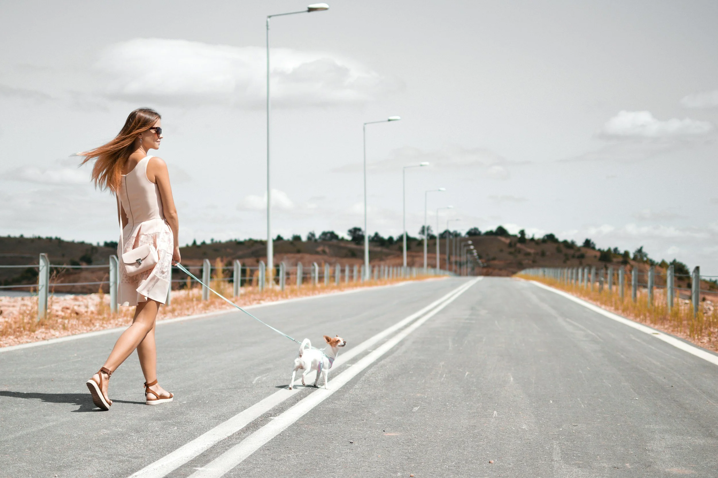 A woman walking a small dog on a leash across a deserted road with a rural landscape in the background.