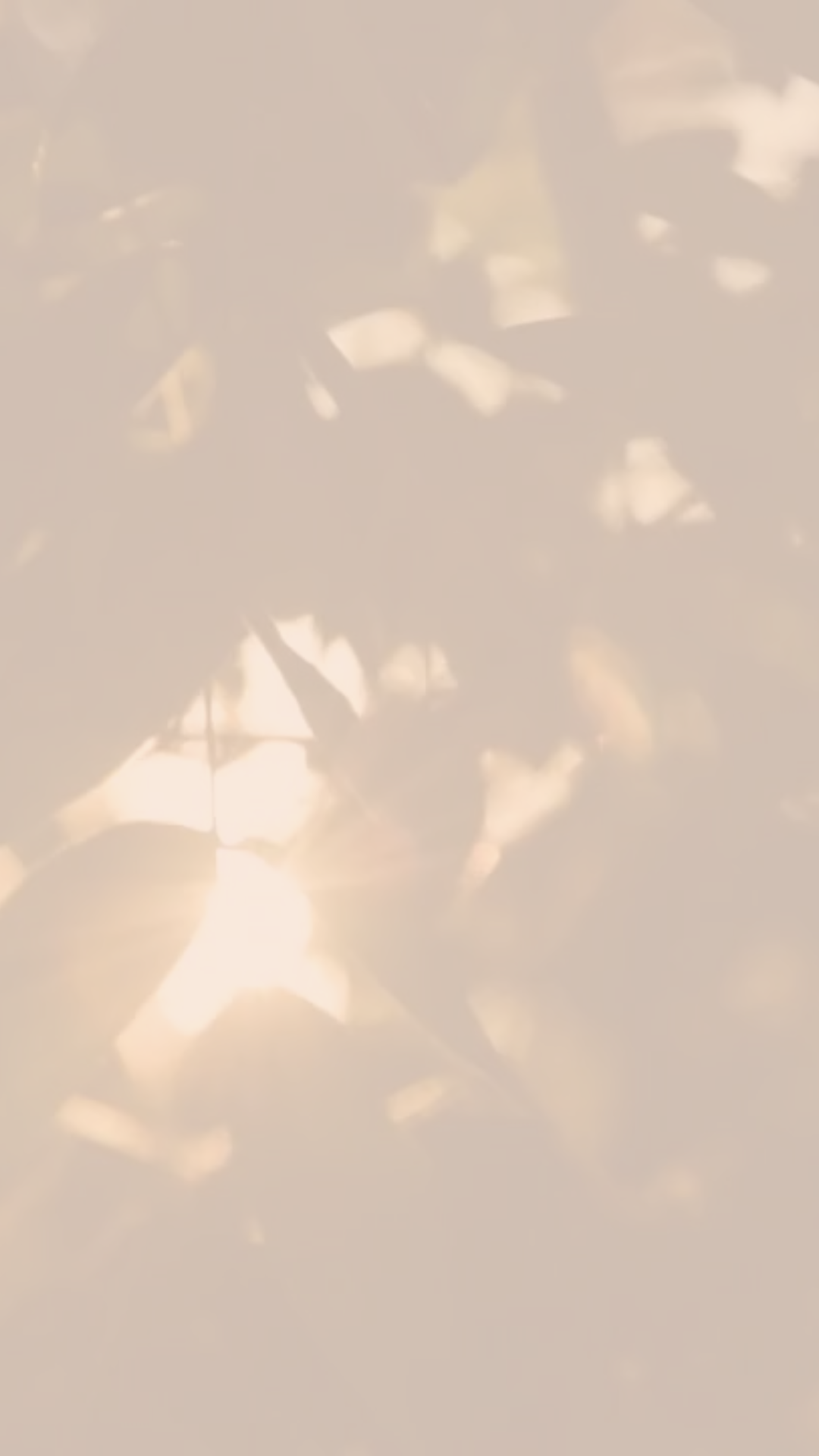 soft light and shadow representing somatic healing and nervous system regulation for women in transition