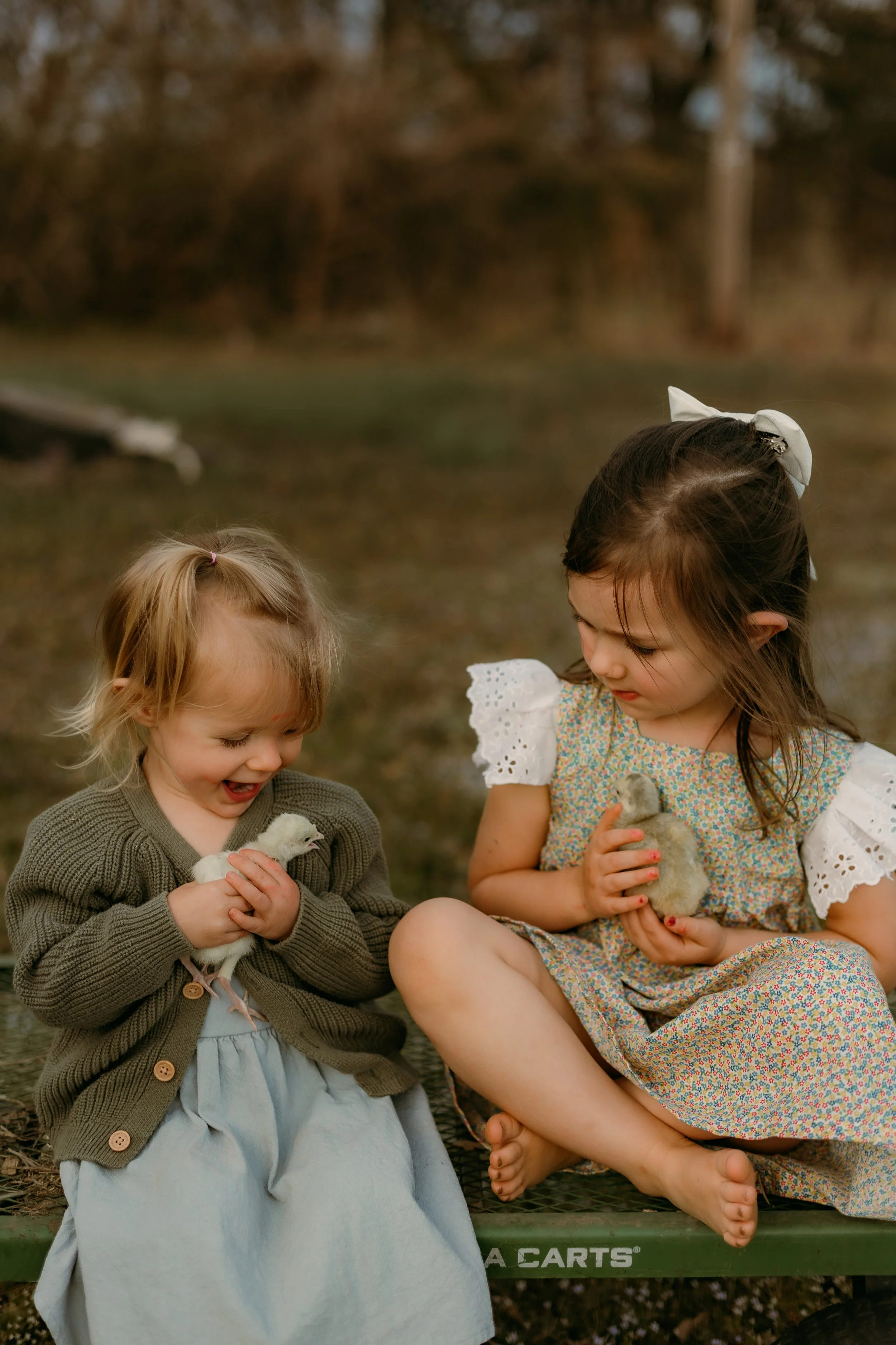 Anns Selection-8.jpg