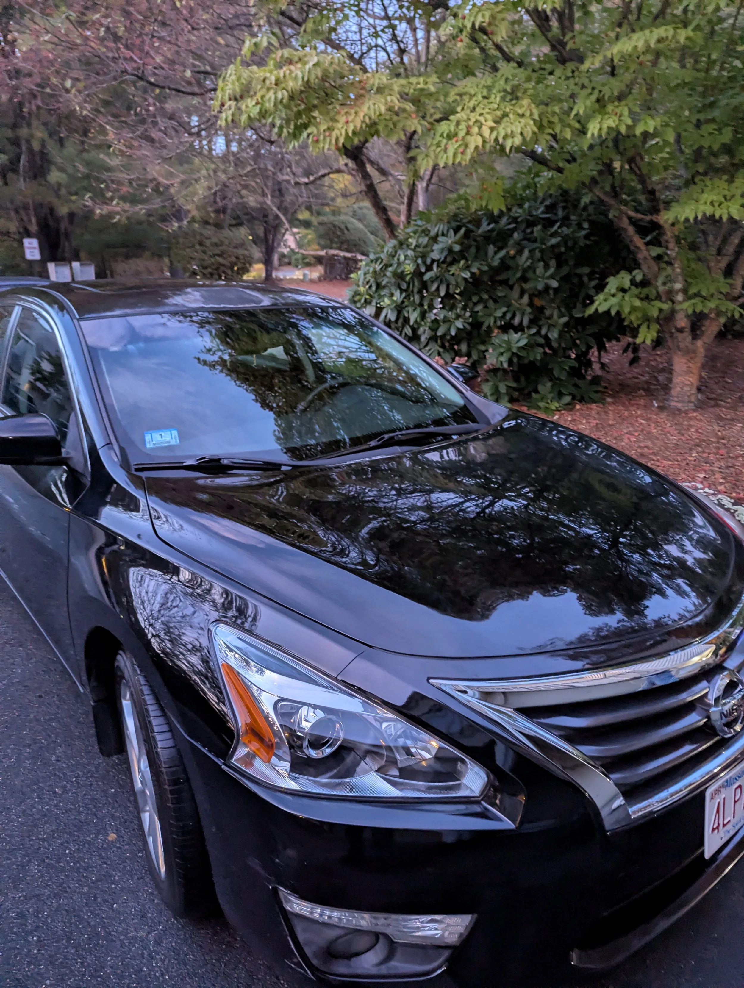 Black Nissan sedan parked on a street with trees and bushes in the background.