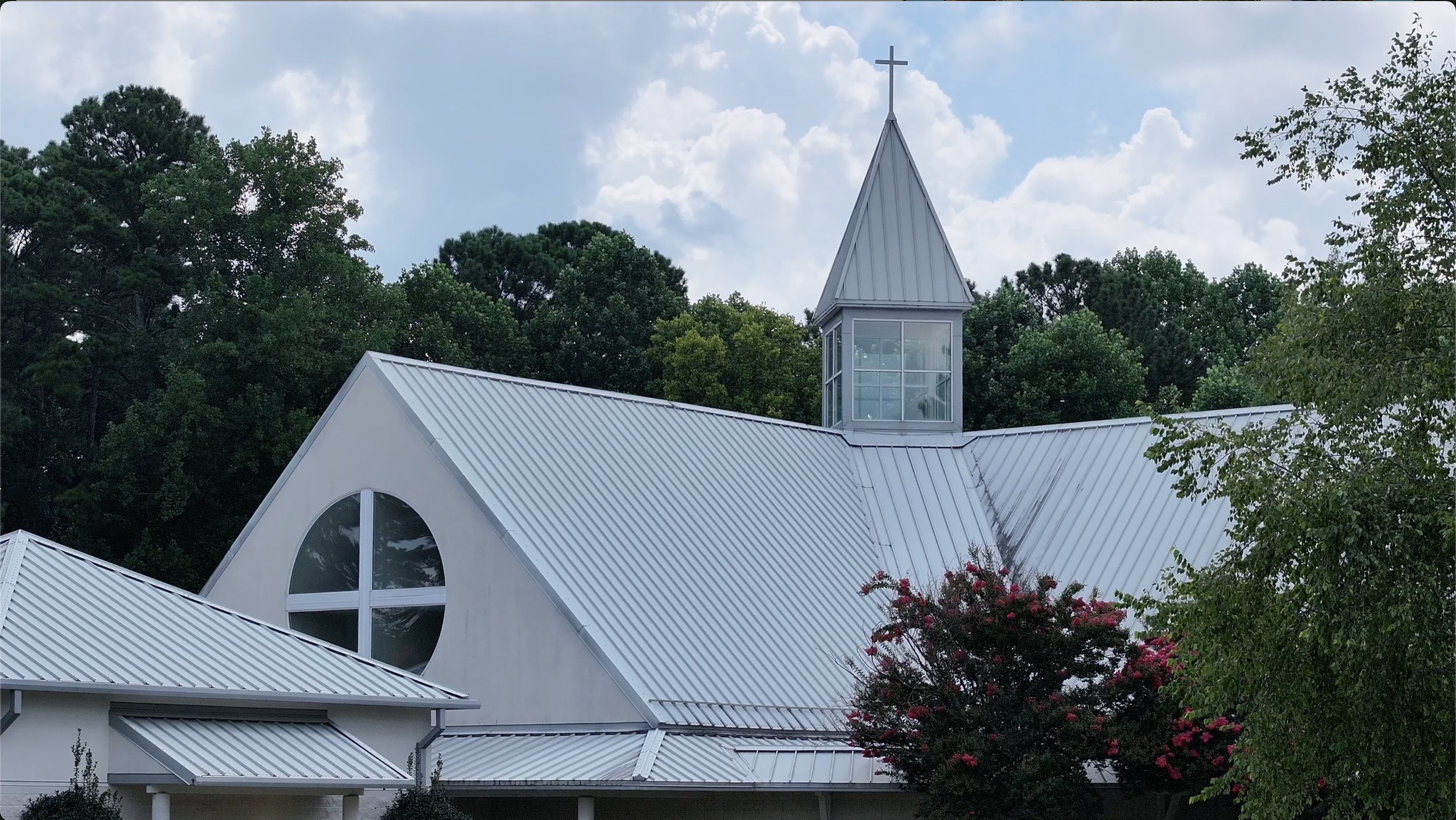 St Francis Cross Tree Bloom.png