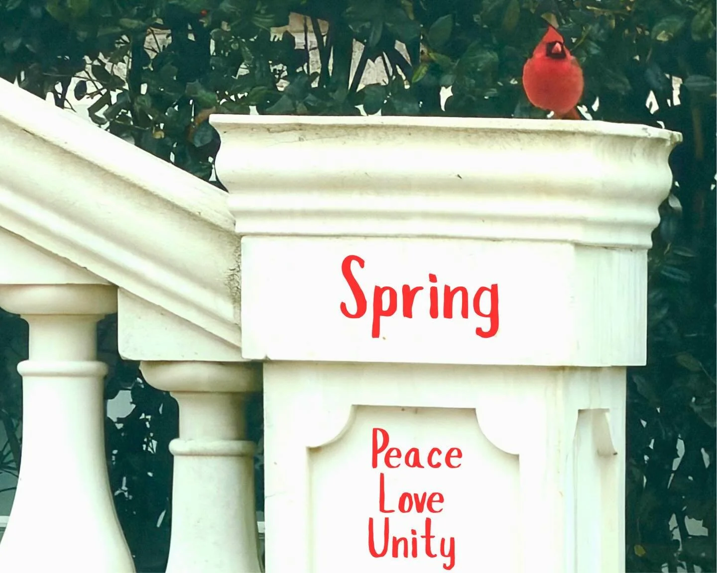 Like flowers yet to bloom, peace, love and unity will come.  We must continue to nurture, believe and help them to blossom. Stay inspired. Spring is coming❤️